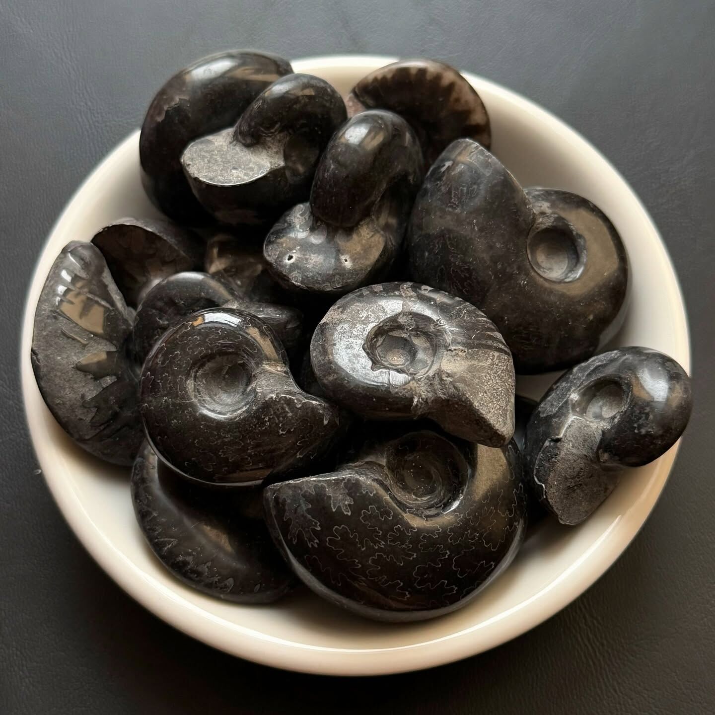 [原石] 黑螺化石