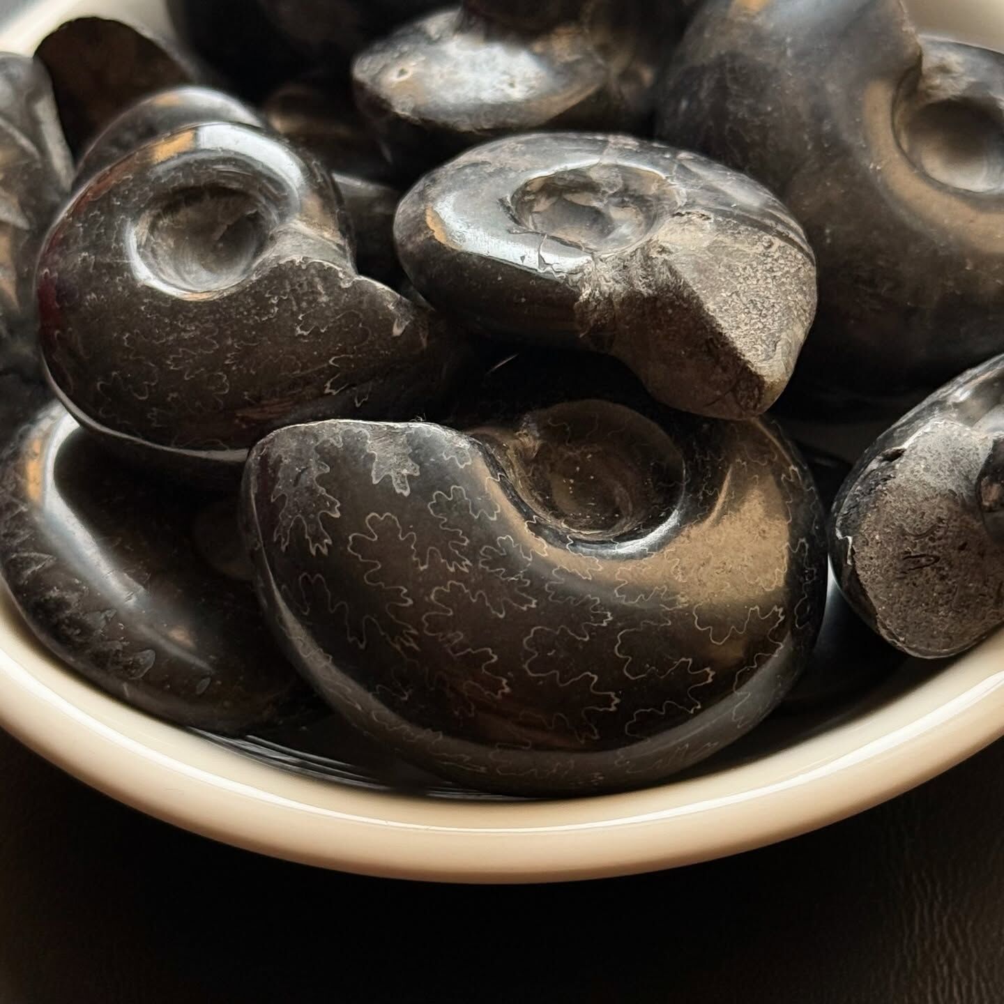 [原石] 黑螺化石