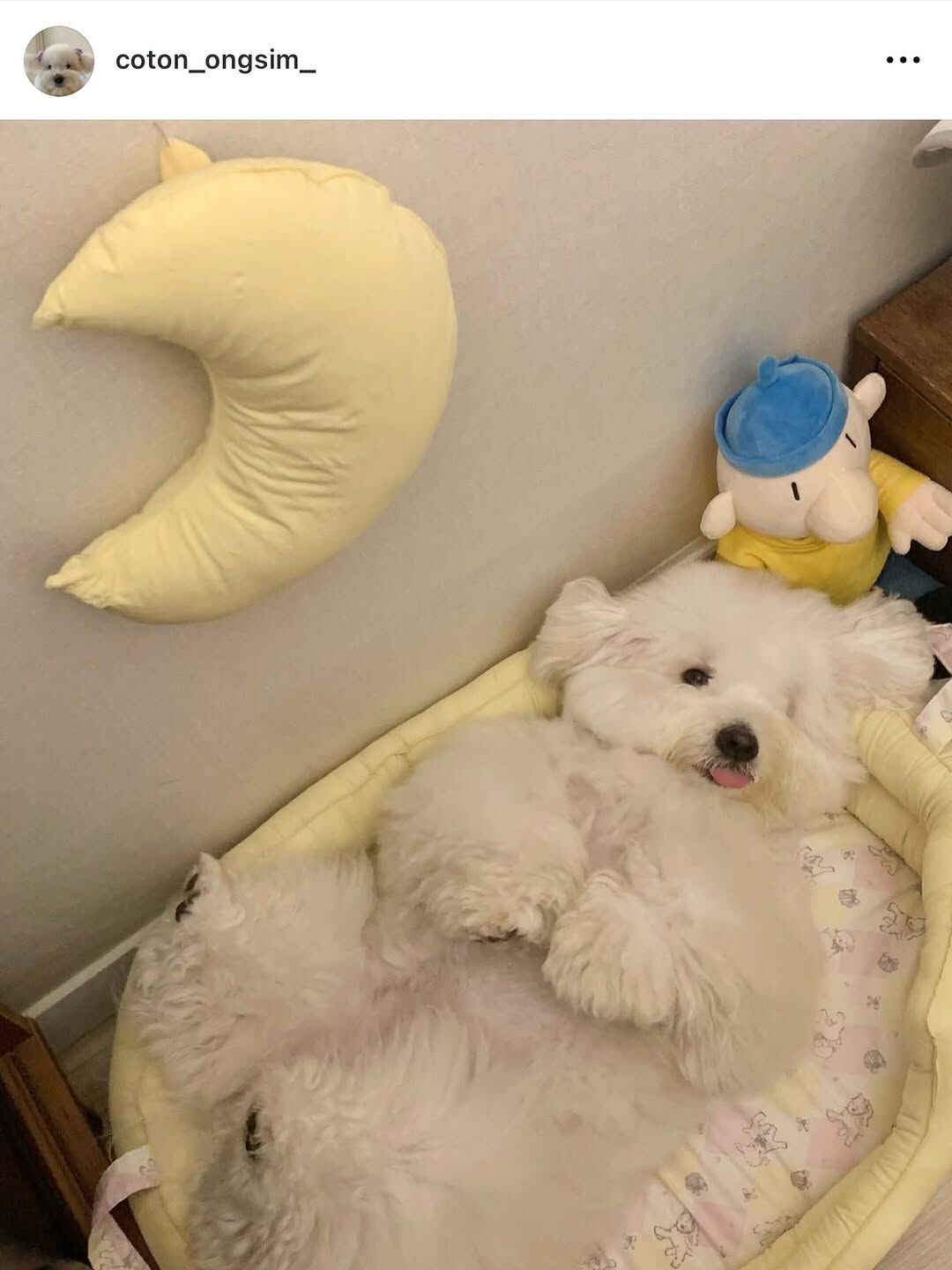 OOPS!｜ 寶寶睡窩Baby Basket - 小羊🐑