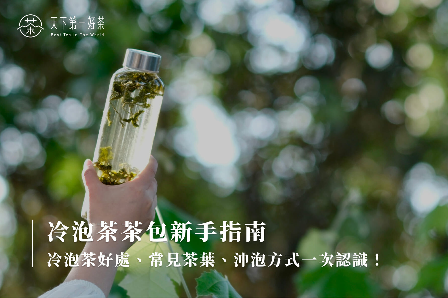冷泡茶茶包新手指南：冷泡茶好處、常見茶葉、沖泡方式一次認識！