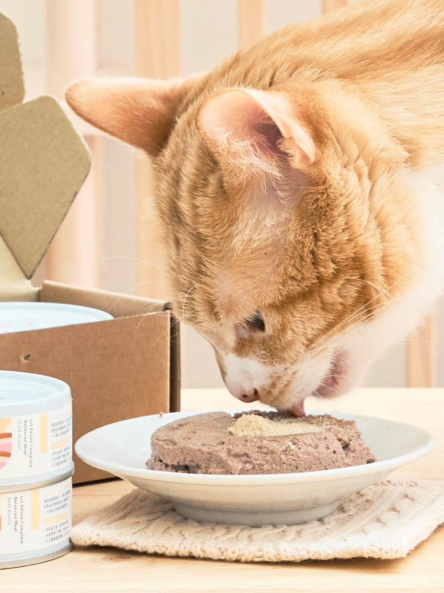 【LADY FLAVOR 好味小姐】1+1 滴雞精貓肉泥主食罐｜鮮香鰹魚