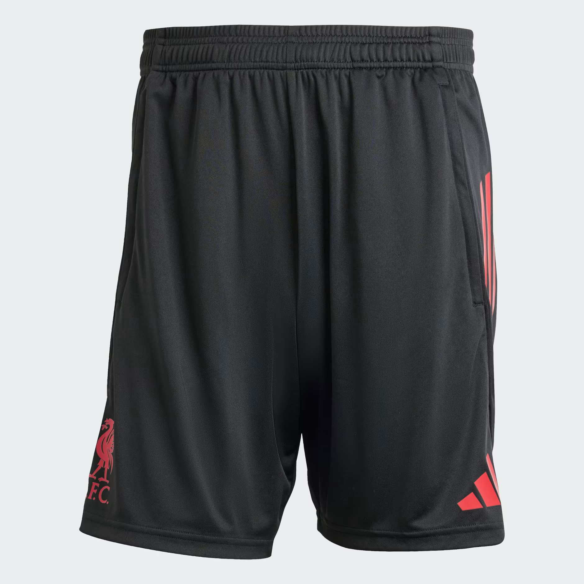 2025 Liverpool Training Shorts