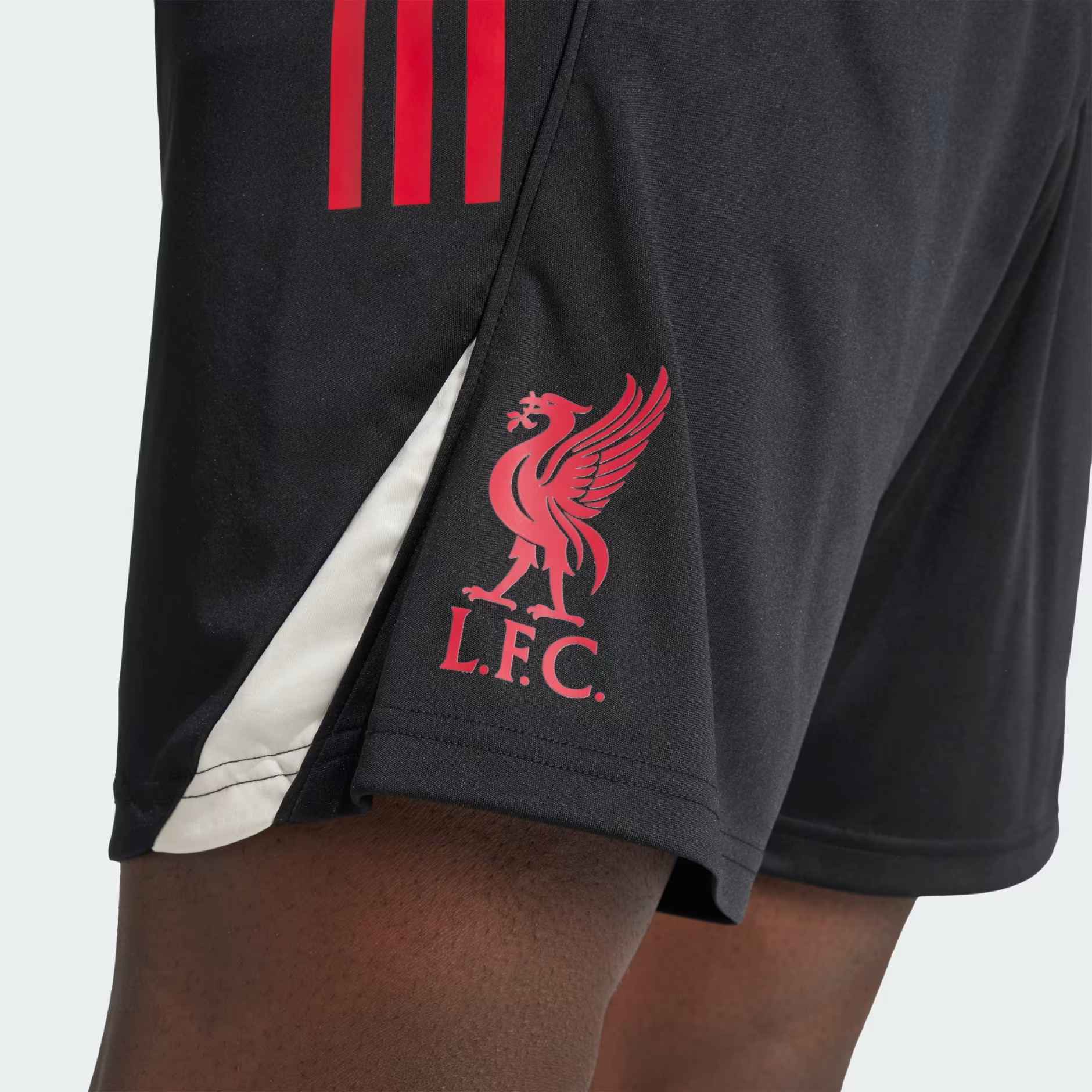 2025 Liverpool Training Shorts