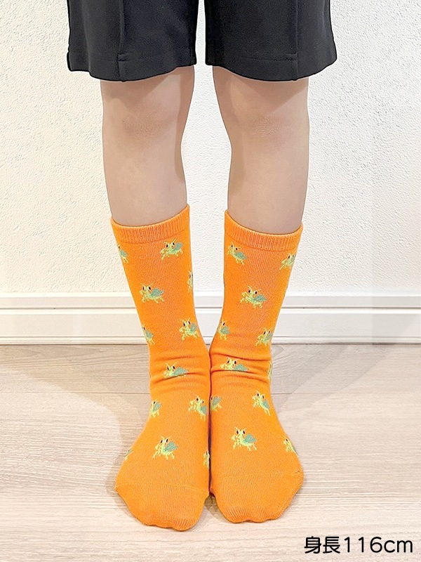 戶外活動專用襪 日本 INSECT MARKET 防蟲加工 中長襪 (2雙1組)