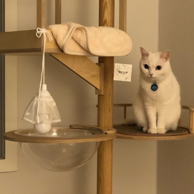 gottagohome．裙擺小燈┃共兩款