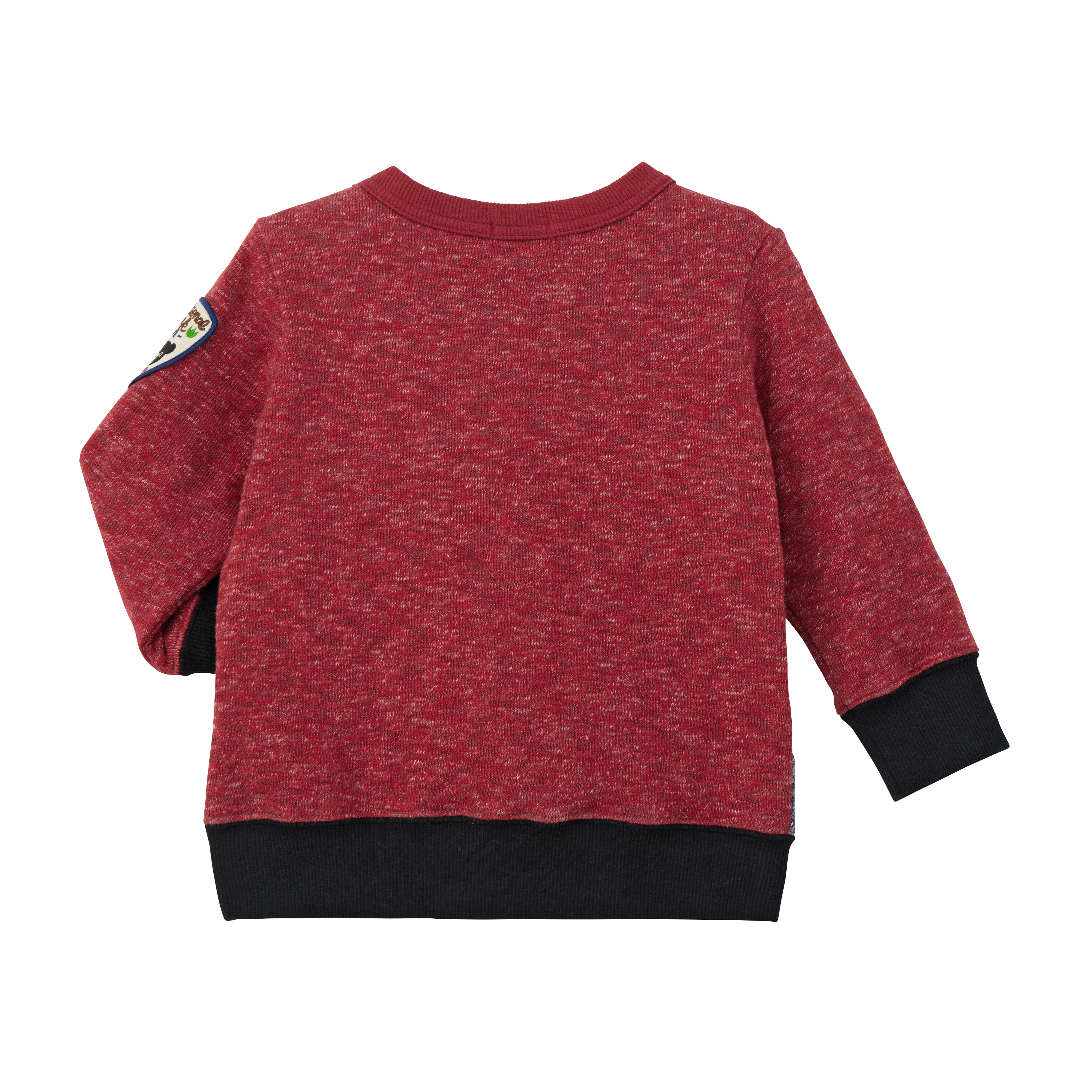 DB 拼色恐龍動物長袖衛衣