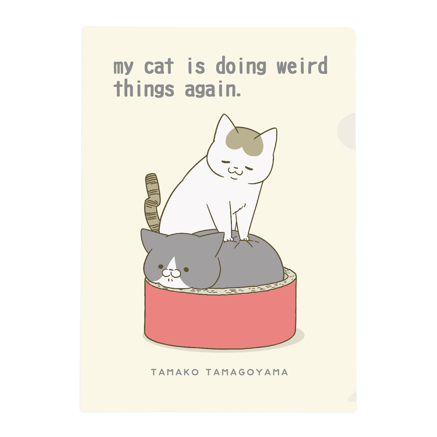 日本貓貓 A4 FILE (日本製)