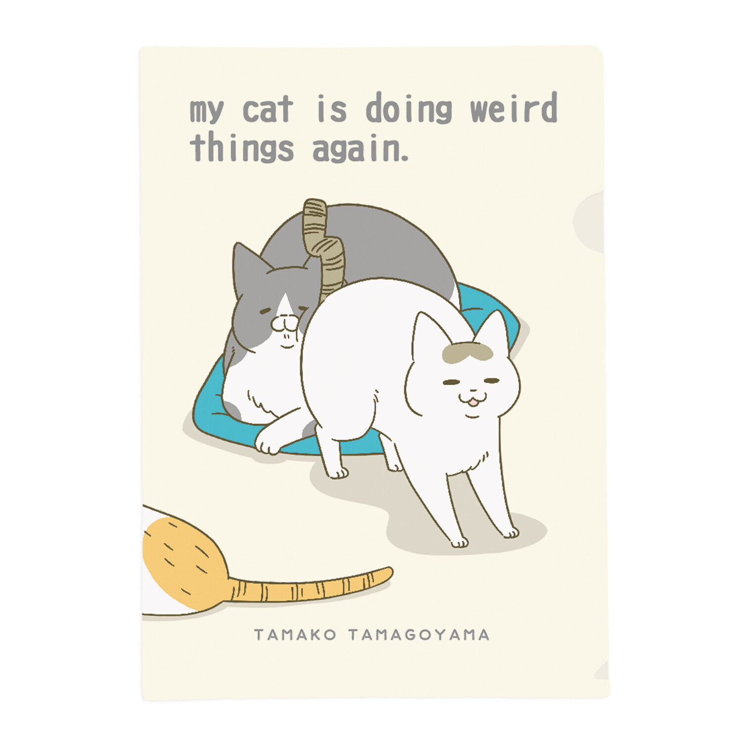 日本貓貓 A4 FILE (日本製)