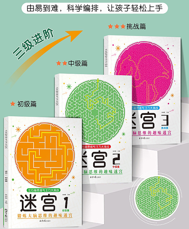 迷宫左右脑思维专注力大挑战（3本）