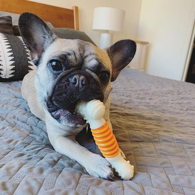 Nylabone PRO Action Power Chew Durable Dental Chew Toy for Dogs Bacon Flavor