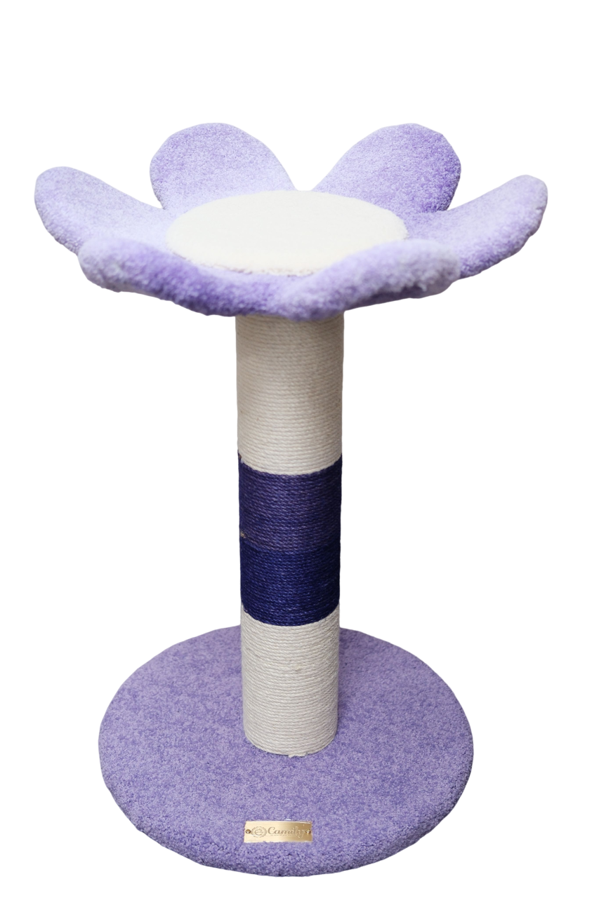 貓爬架 (花)-漸變紫