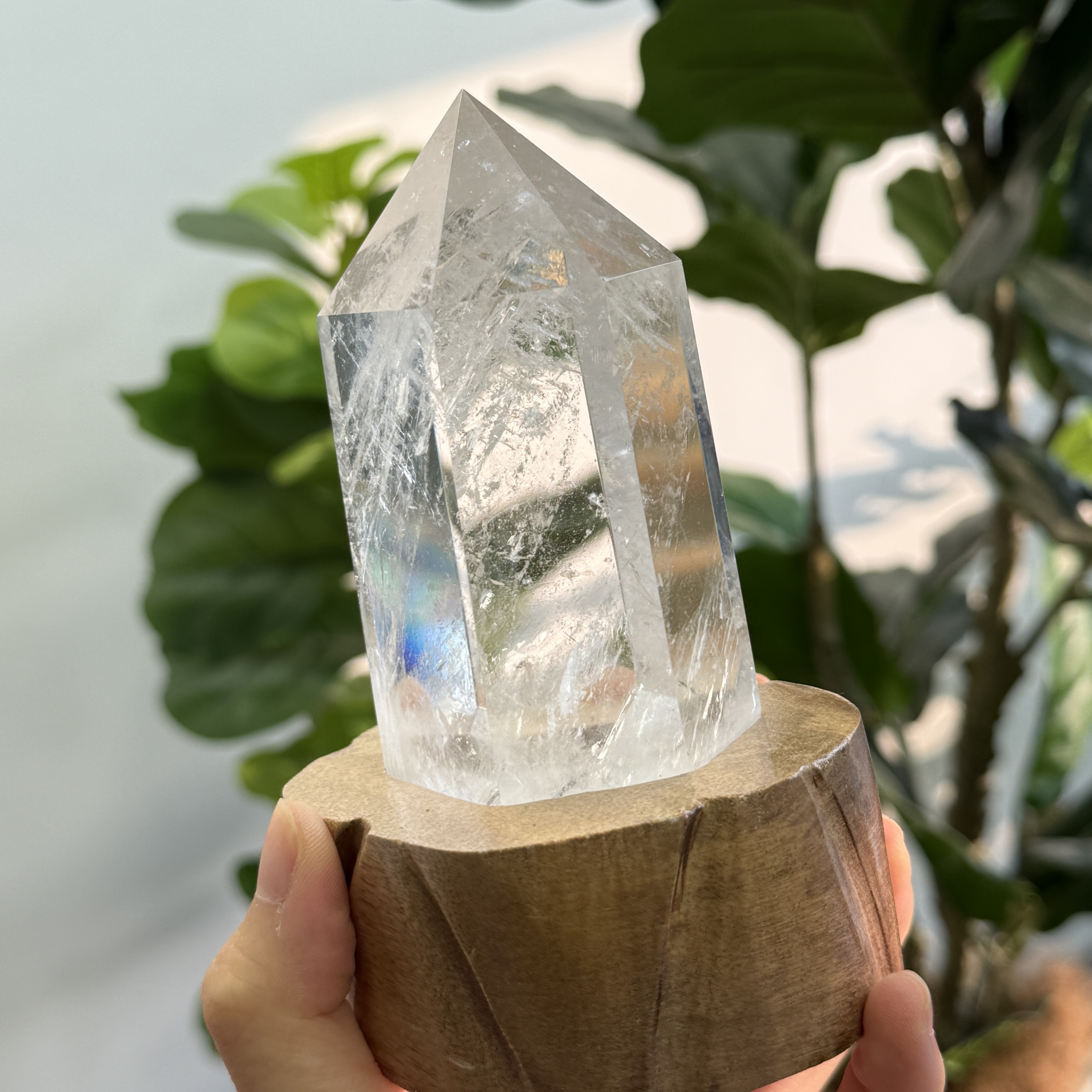 白晶柱 手圍17以上 WD2123