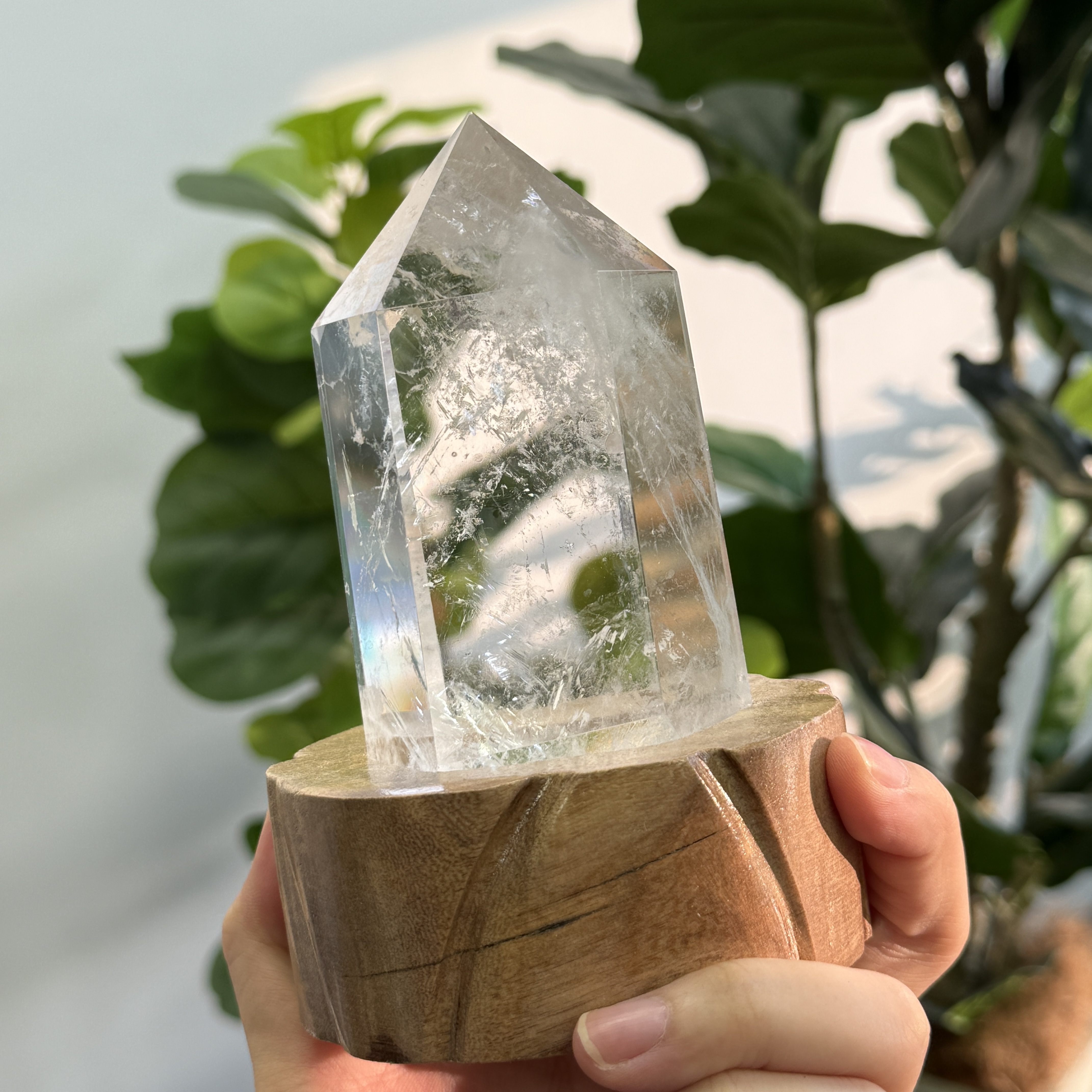 白晶柱 手圍17以上 WD2123