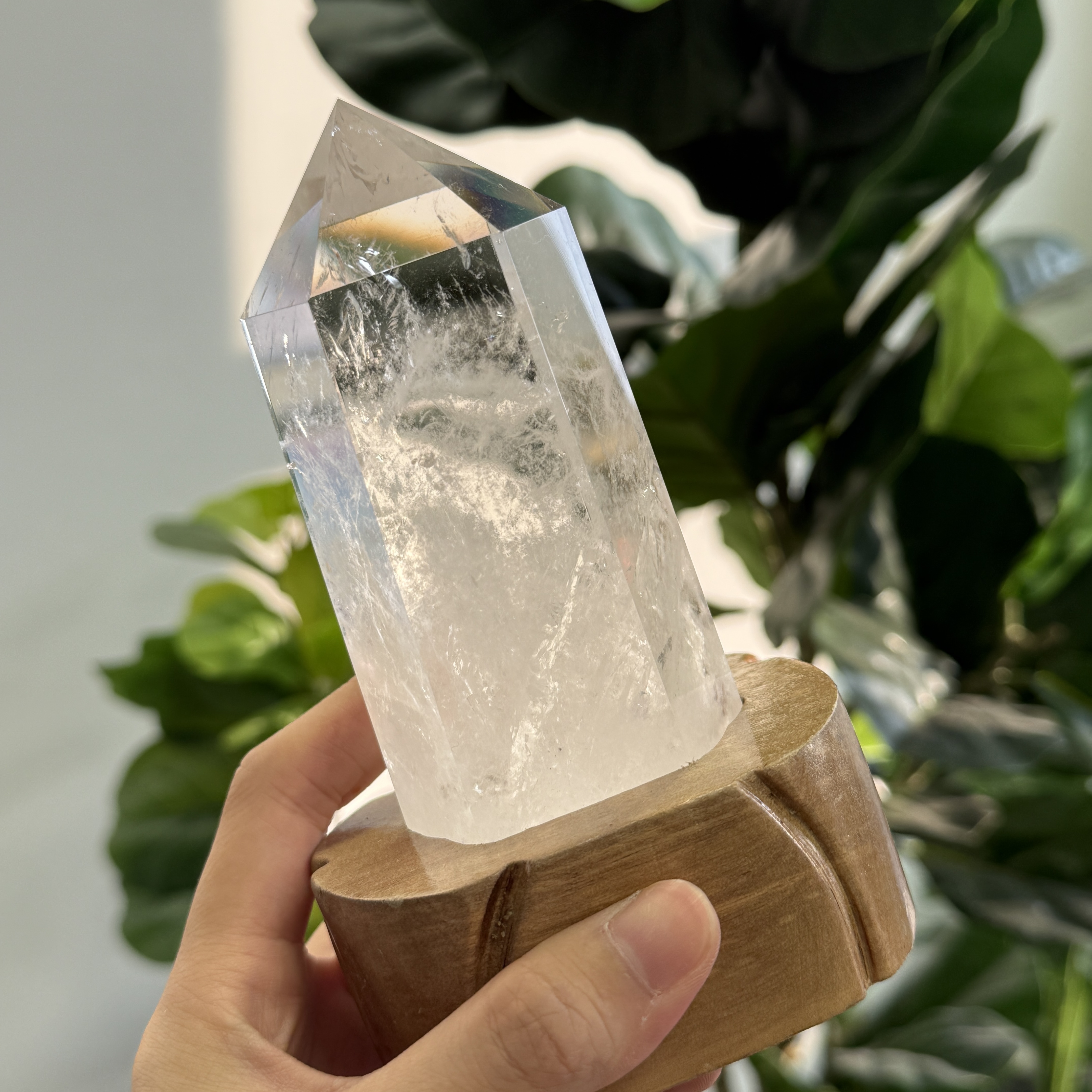 白晶柱 手圍16.5以上 WD2117