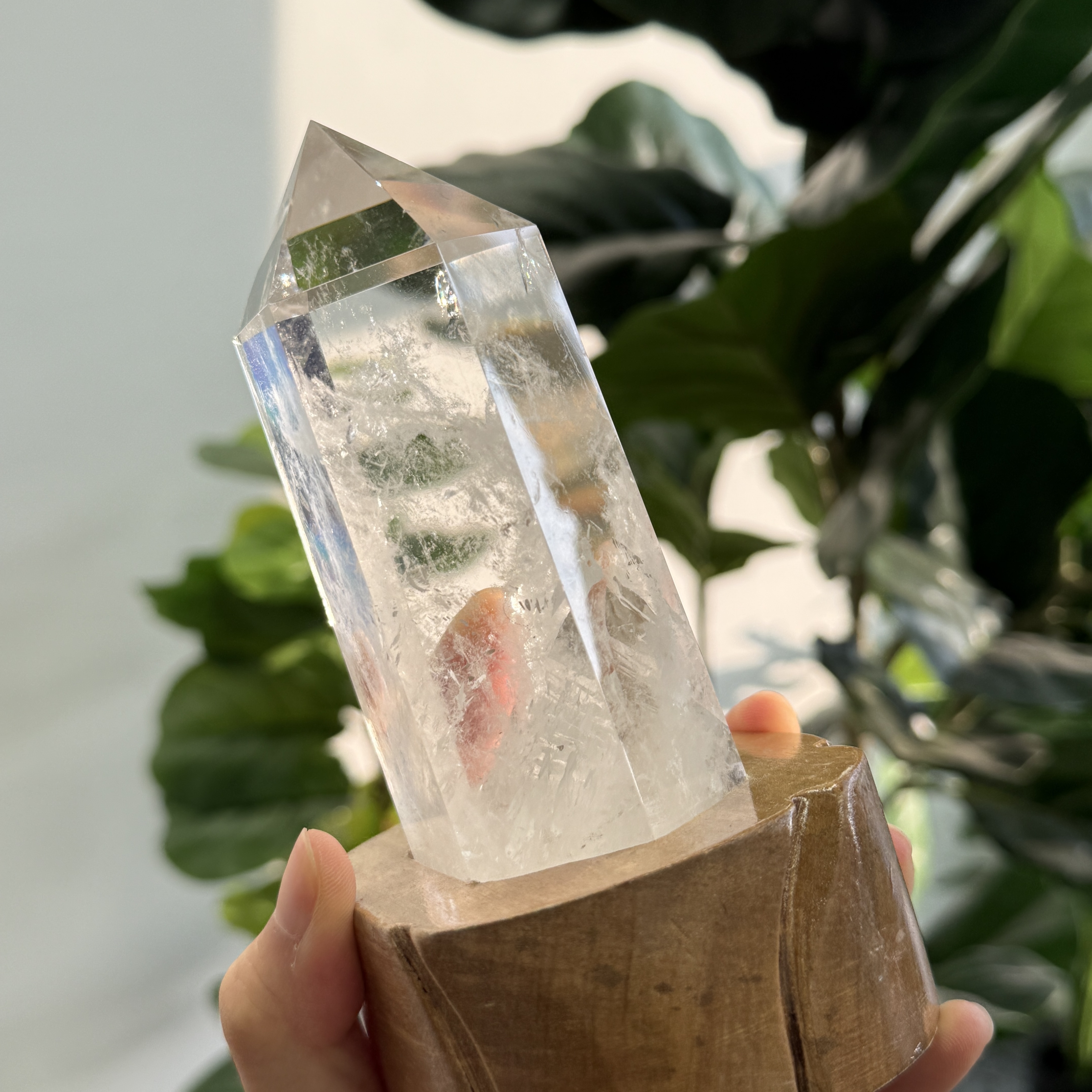 白晶柱 手圍16.5以上 WD2117