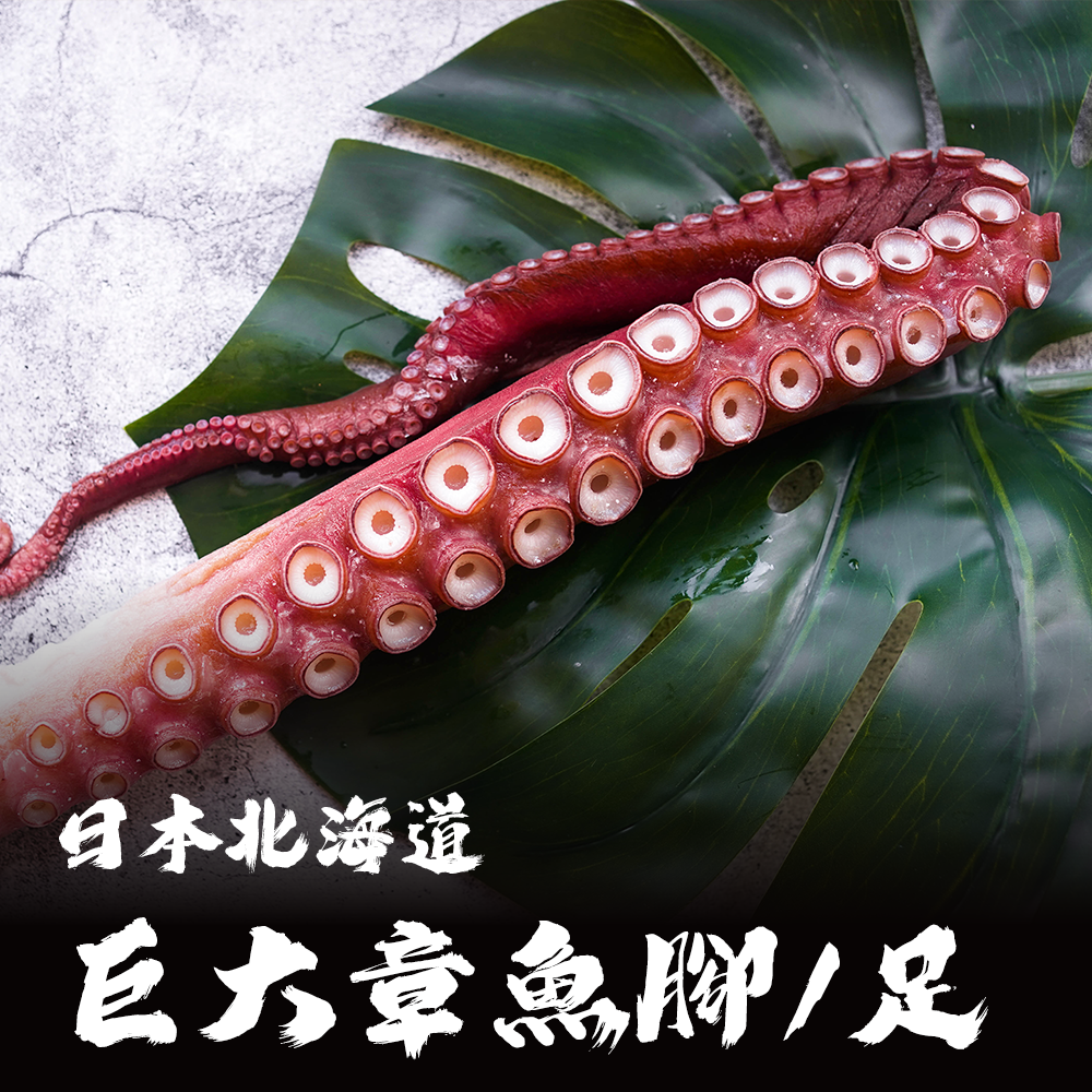 日本北海道｜巨大章魚腳 / 章魚足