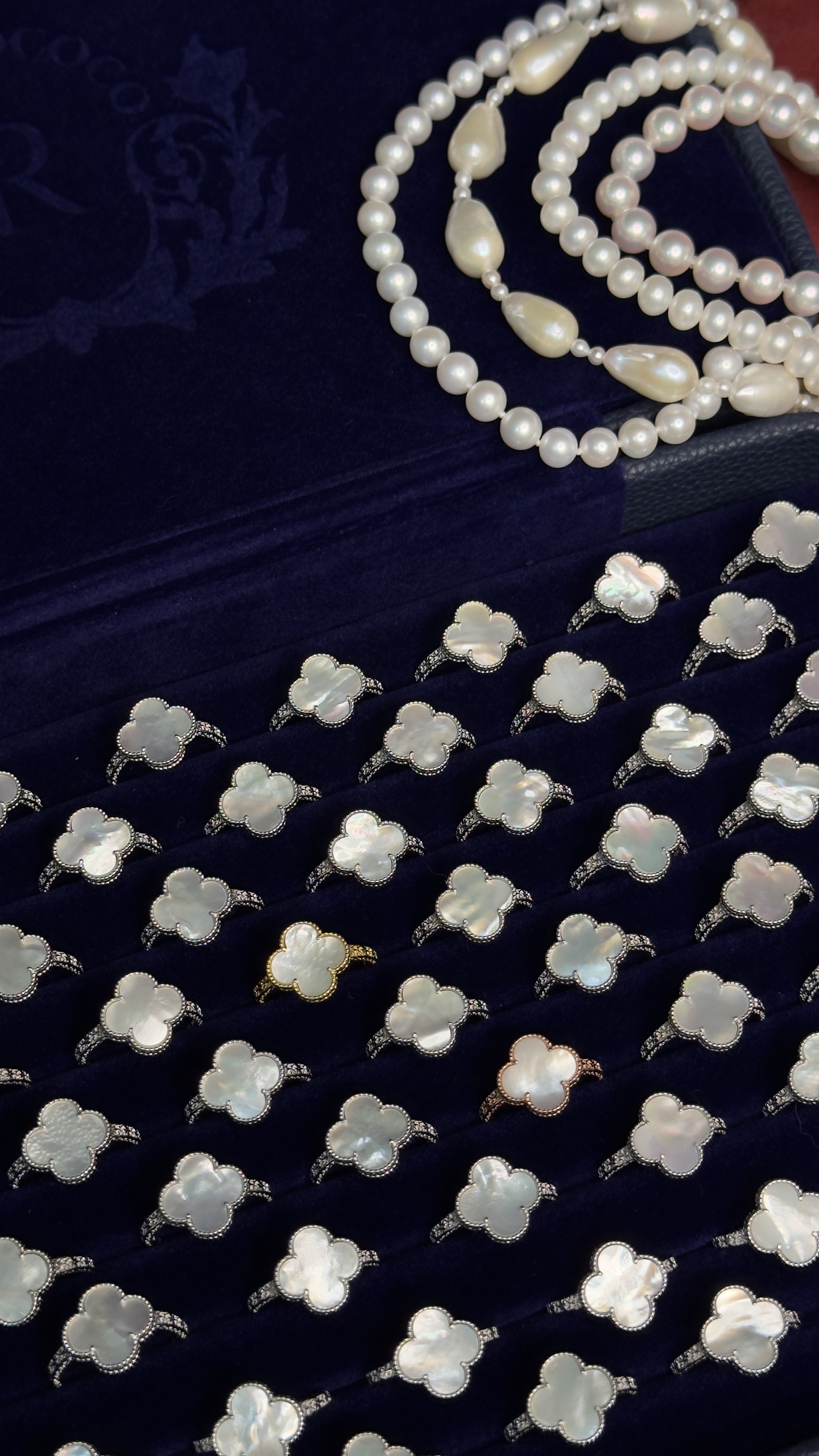 幸運草天然貝母花 （顯眼貴氣