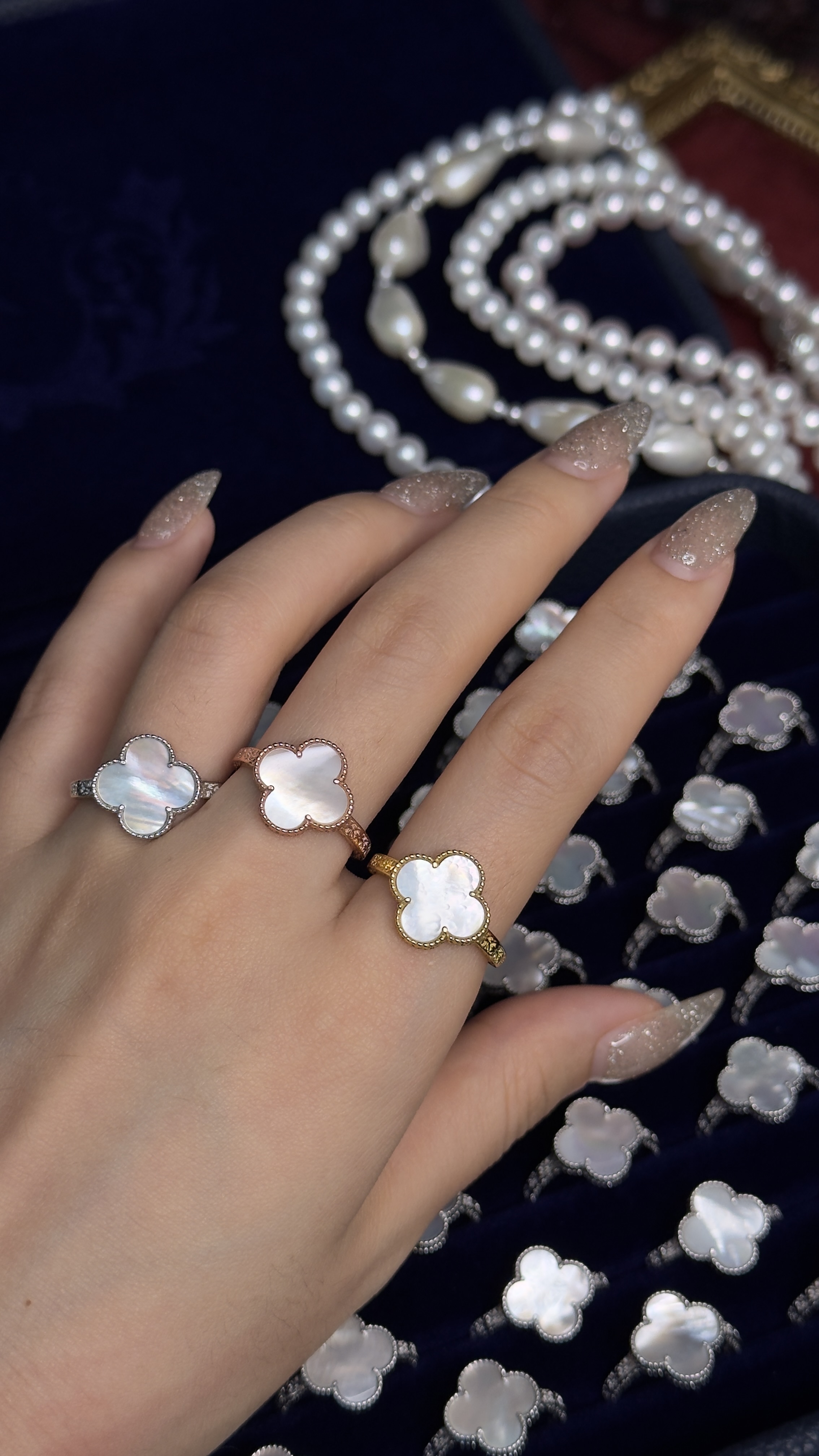 幸運草天然貝母花 （顯眼貴氣