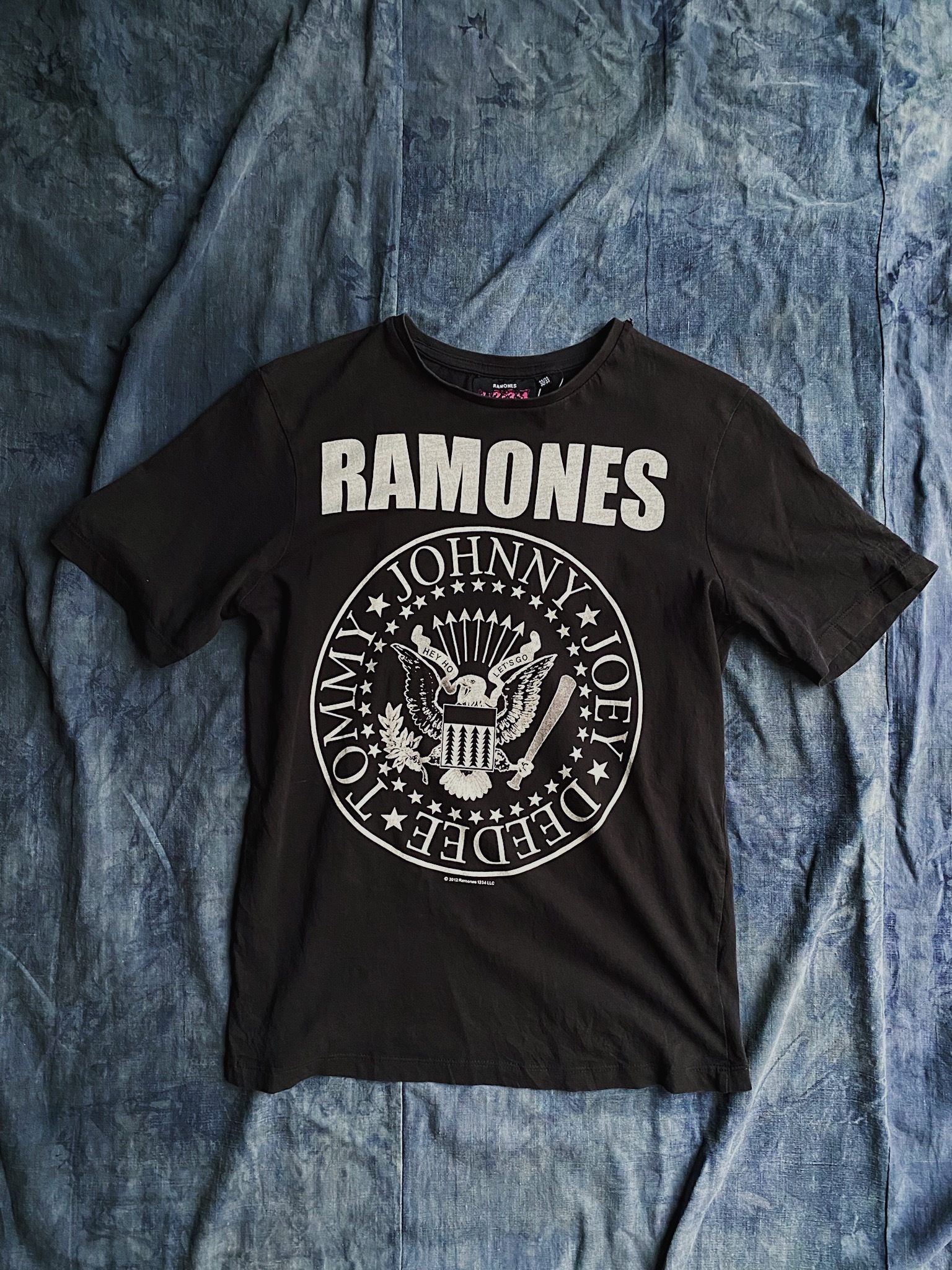 Vintage T-shirt “Ramones” / 美國紐約龐克搖滾樂團始祖 雷蒙斯 初代團員紀念短踢
