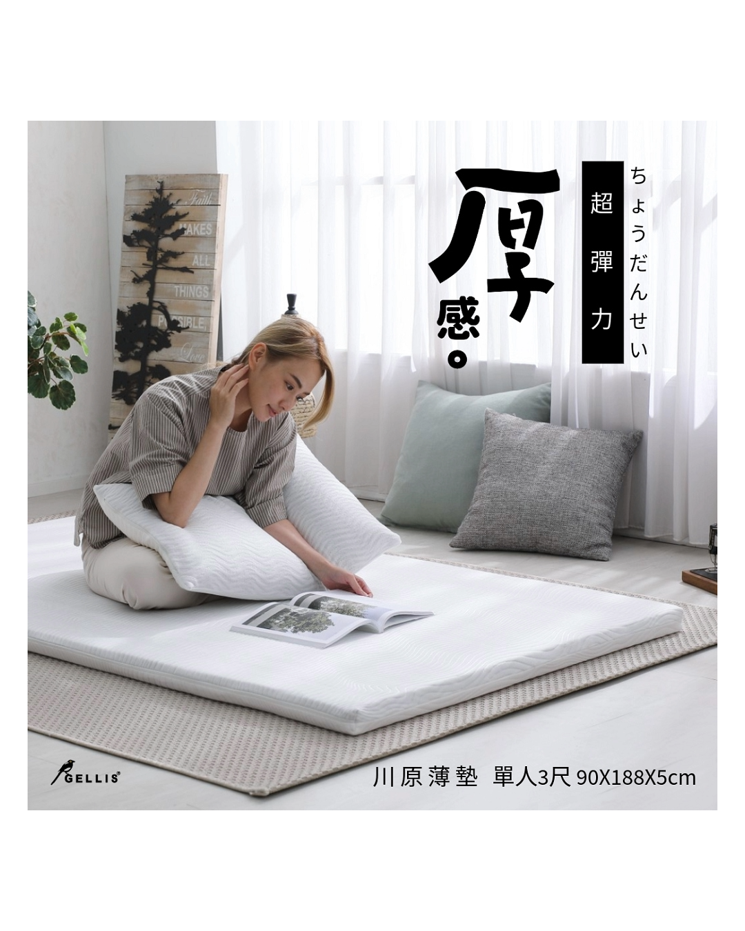 【新品】5cm日式川原高能電漿冬夏2用雙重睡感超彈力薄墊 標準單人3尺