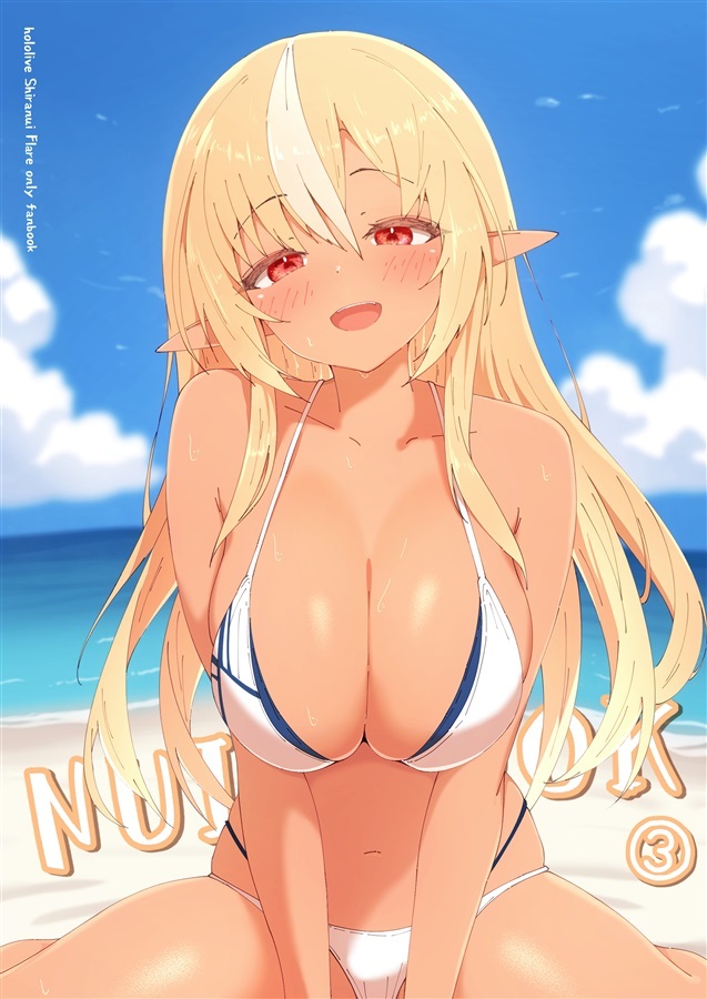 C106「同人代購」「Melonbooks代購」NUIBOOK③