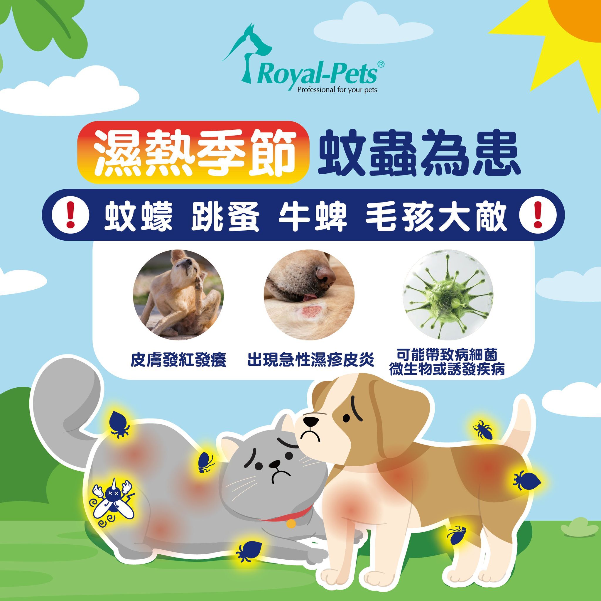 【現貨8折】Royal-Pets 高效防蚊蟲噴霧 (貓狗適用) 200ml