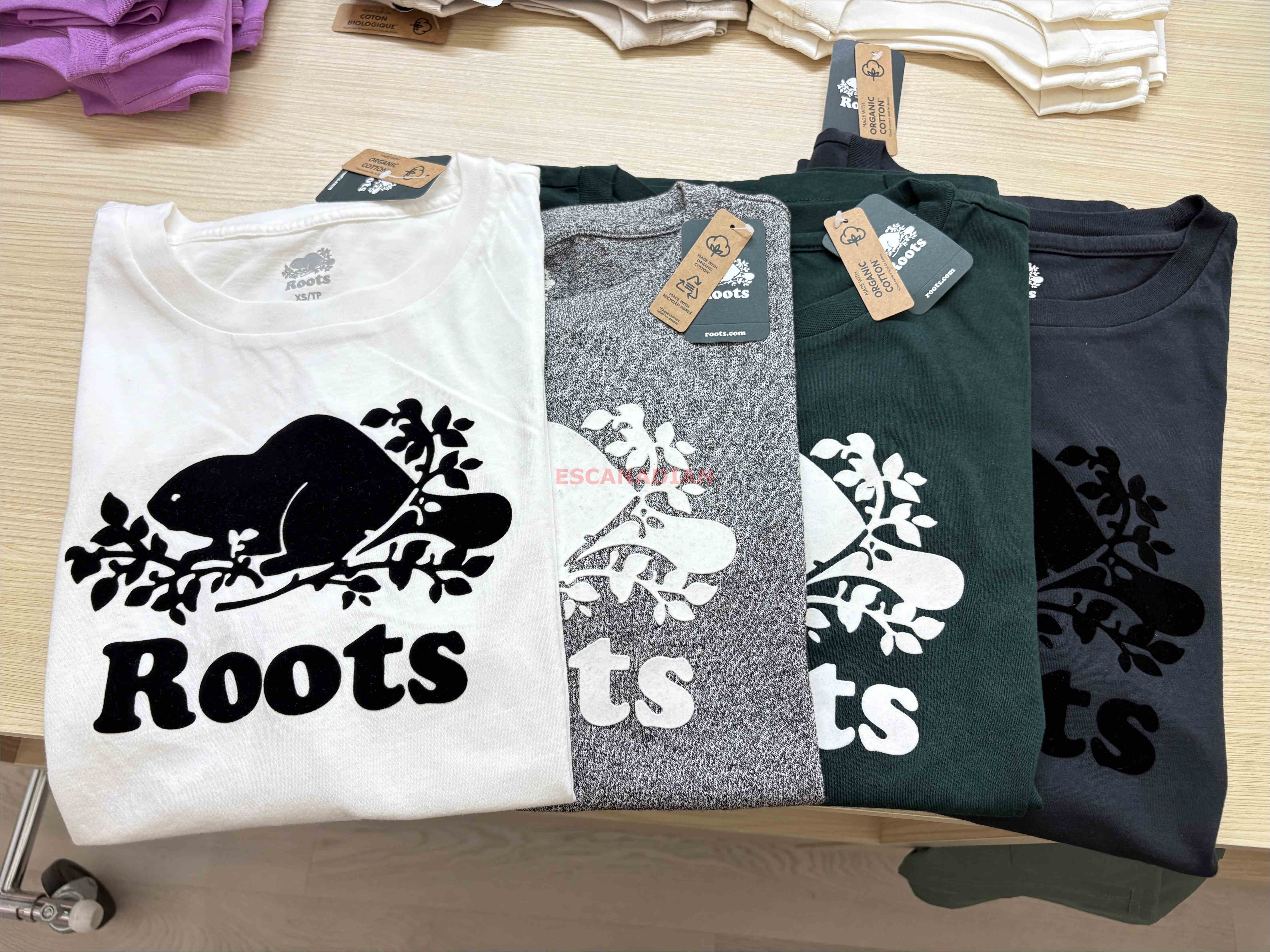 ROOTS 女大人 有機棉 經典款 寬版(Relaxed) 海狸 短TEE (5色)