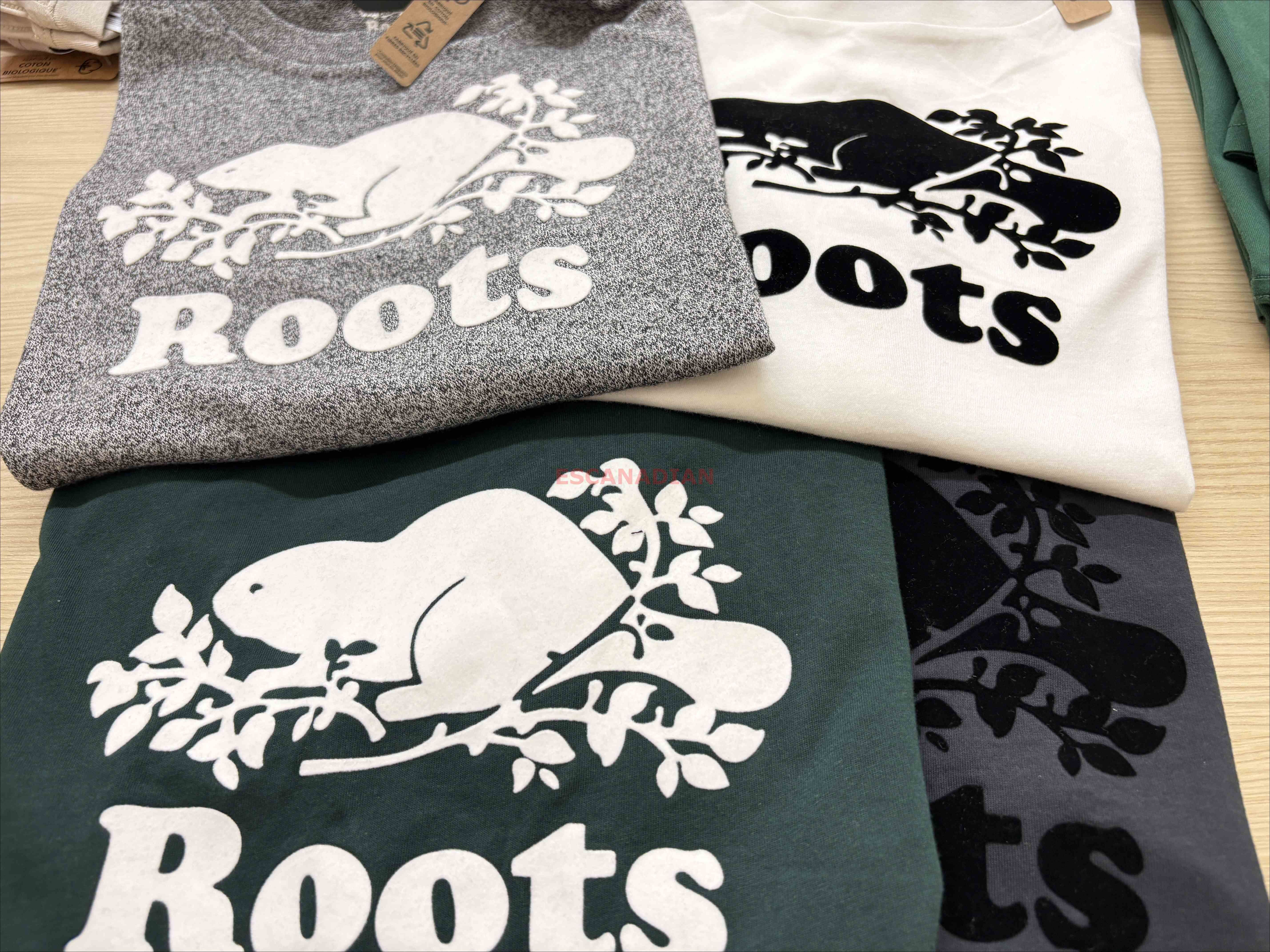 ROOTS 女大人 有機棉 經典款 寬版(Relaxed) 海狸 短TEE (5色)