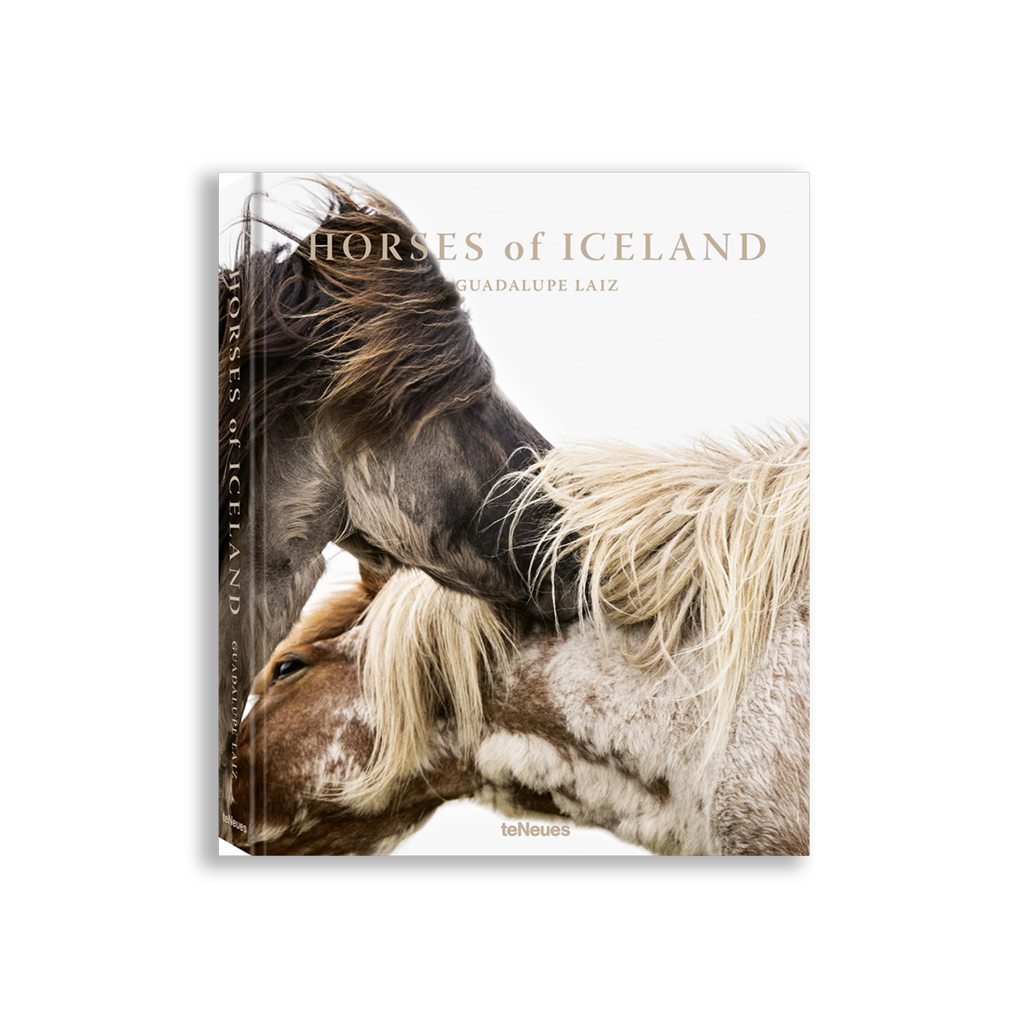 Horses of Iceland