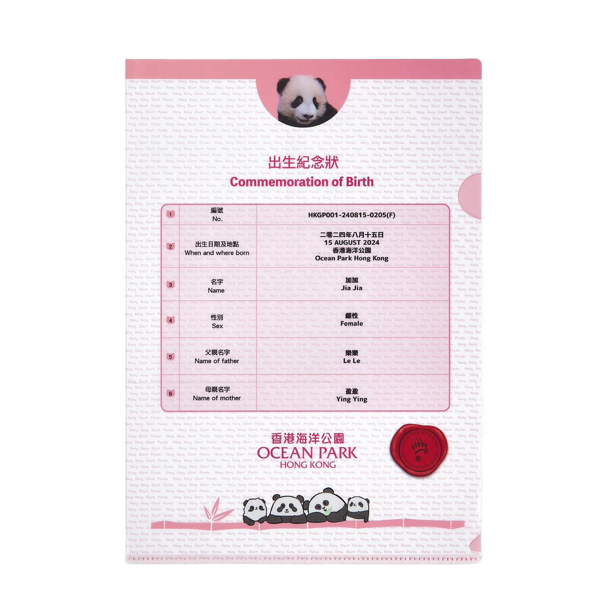 Elder Sister “Jia Jia” Commemoration of Birth A4 Folder