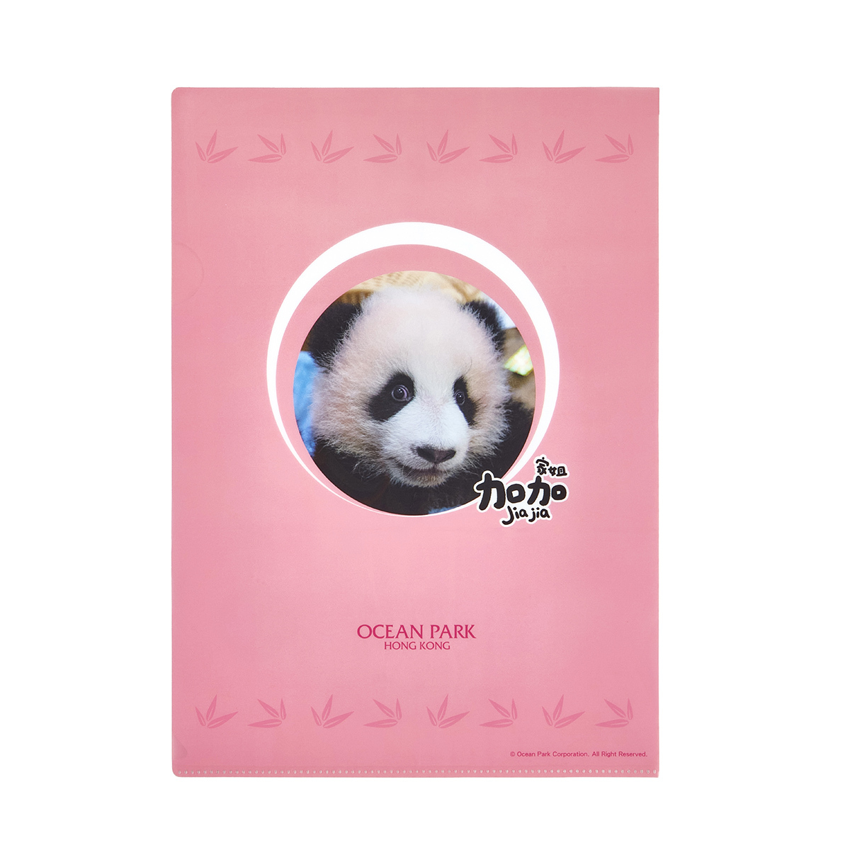 Elder Sister “Jia Jia” Commemoration of Birth A4 Folder