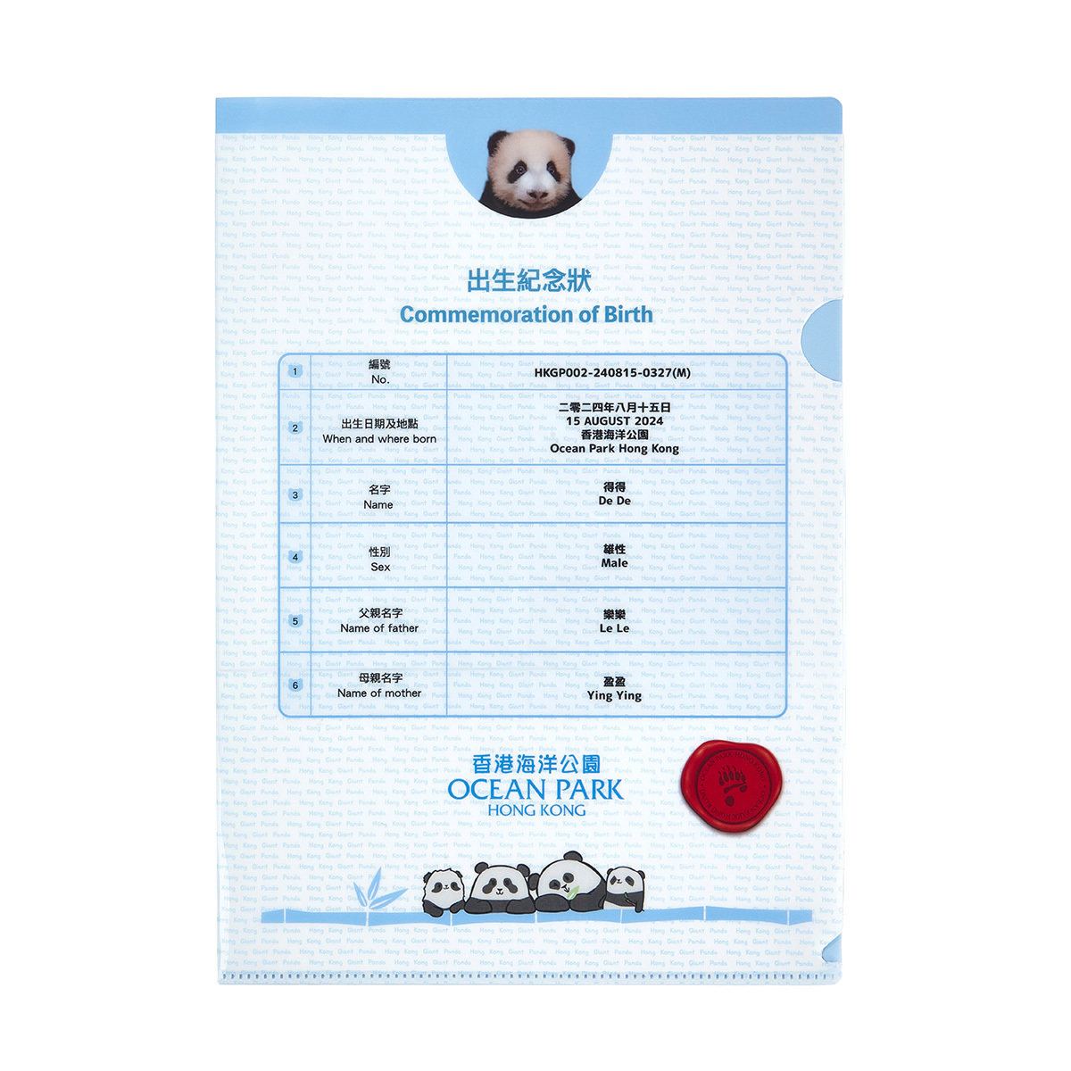 Little Brother “De De” Commemoration of Birth A4 Folder