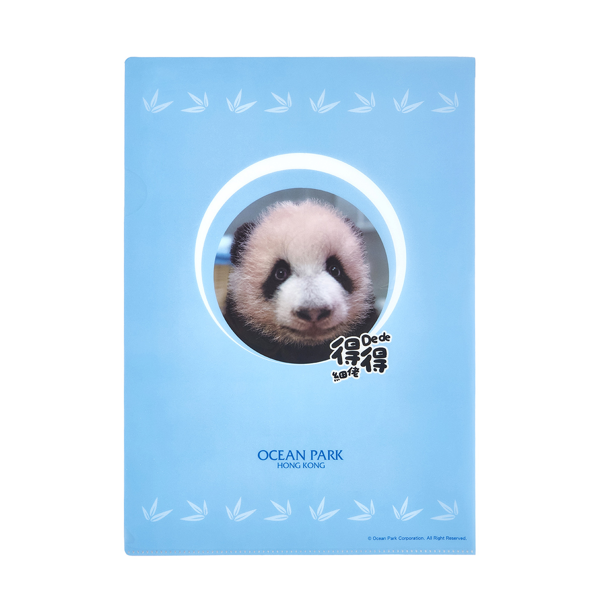 Little Brother “De De” Commemoration of Birth A4 Folder