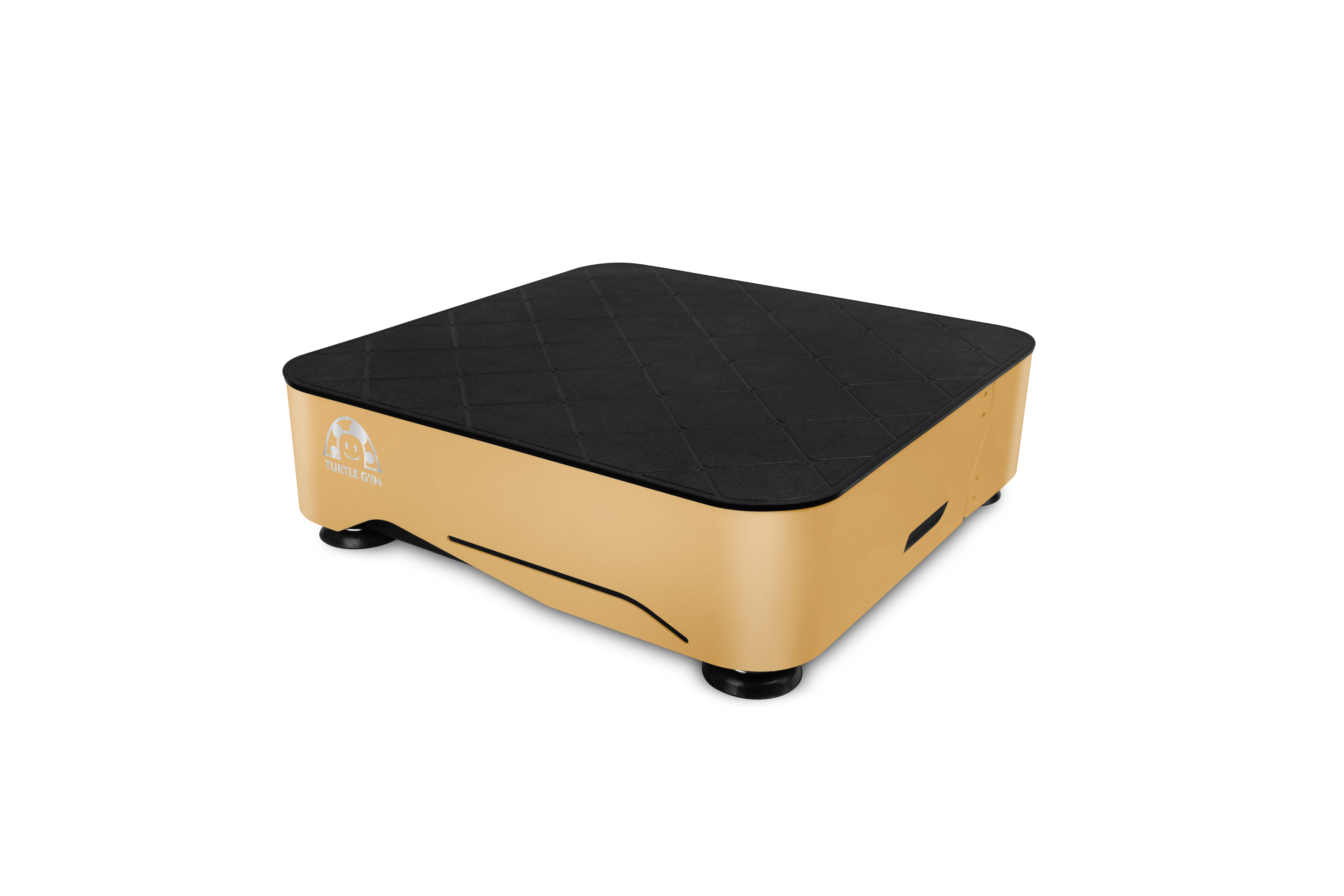 TURTLEGYM 特多勁 TPA03全身垂直律動機  2024年式