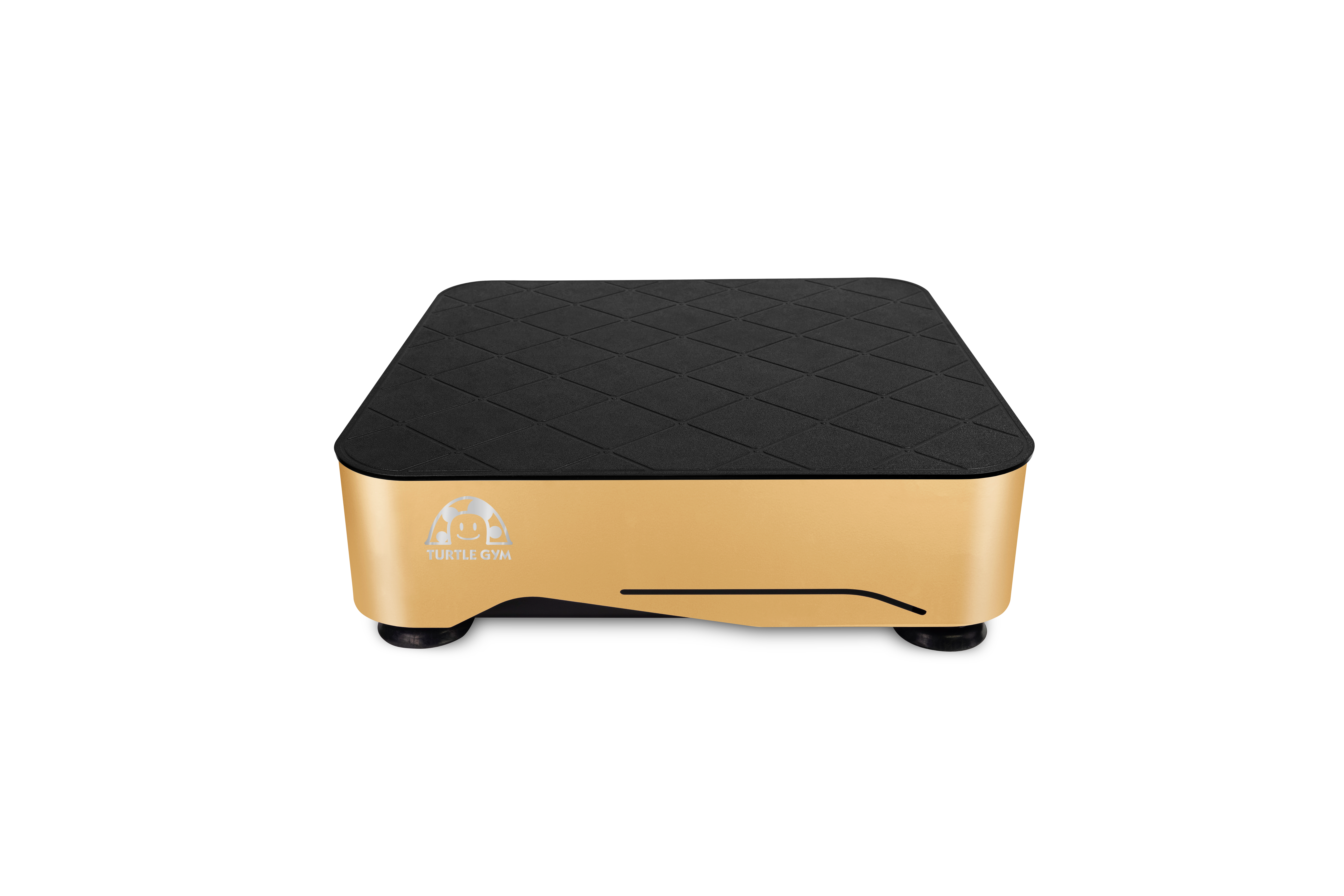 TURTLEGYM 特多勁 TPA03全身垂直律動機  2024年式