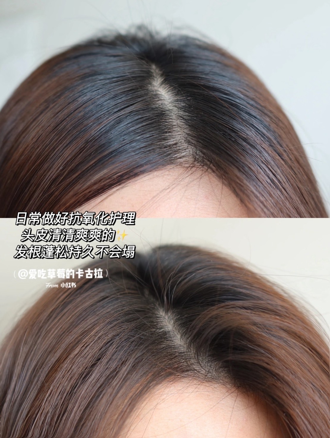 📦現貨 KERASTASE 巴黎卡詩-極酵平衡頭皮精華90ml