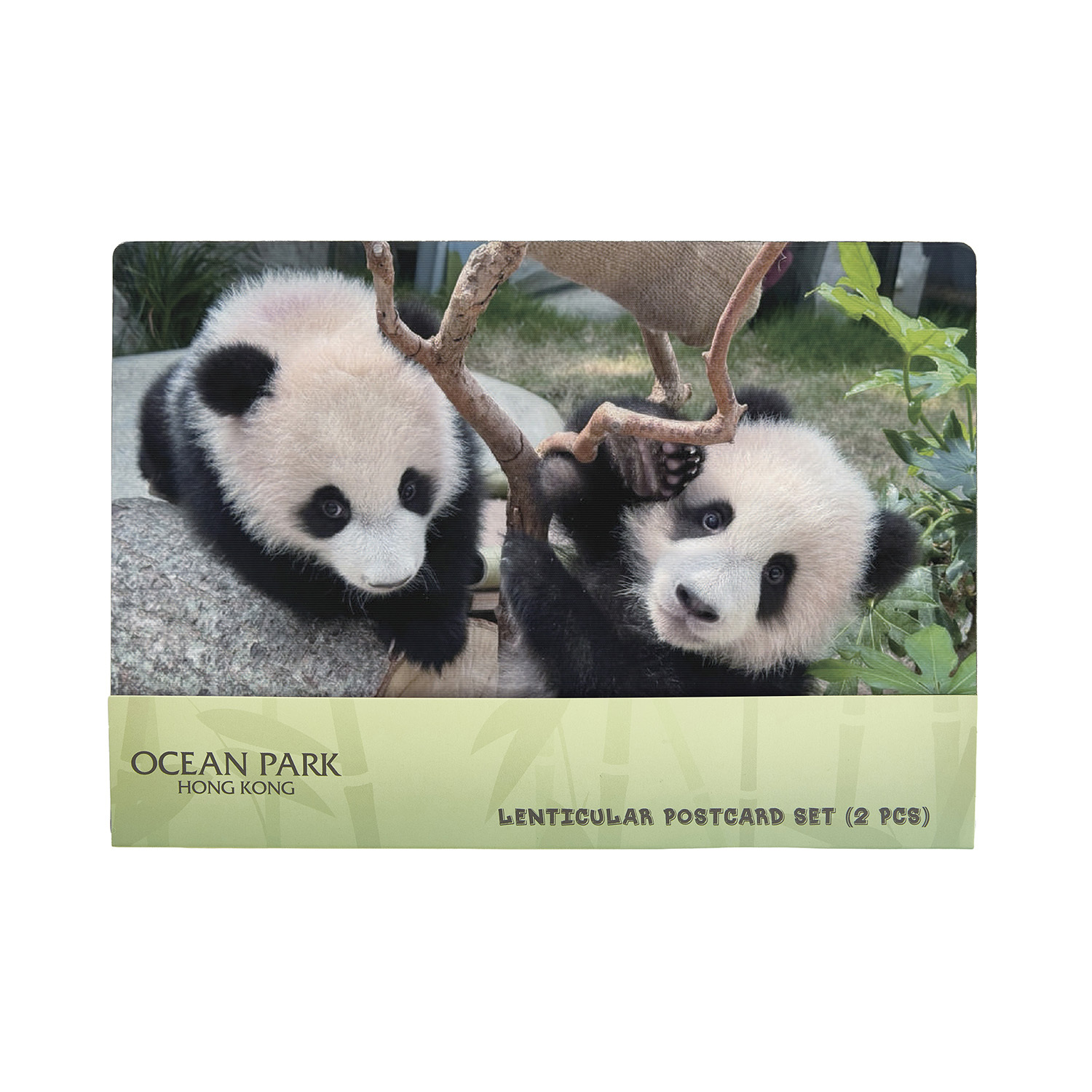 Lenticular Postcard 2pcs Set - Elder Sister “Jia Jia” & Little Brother “De De”