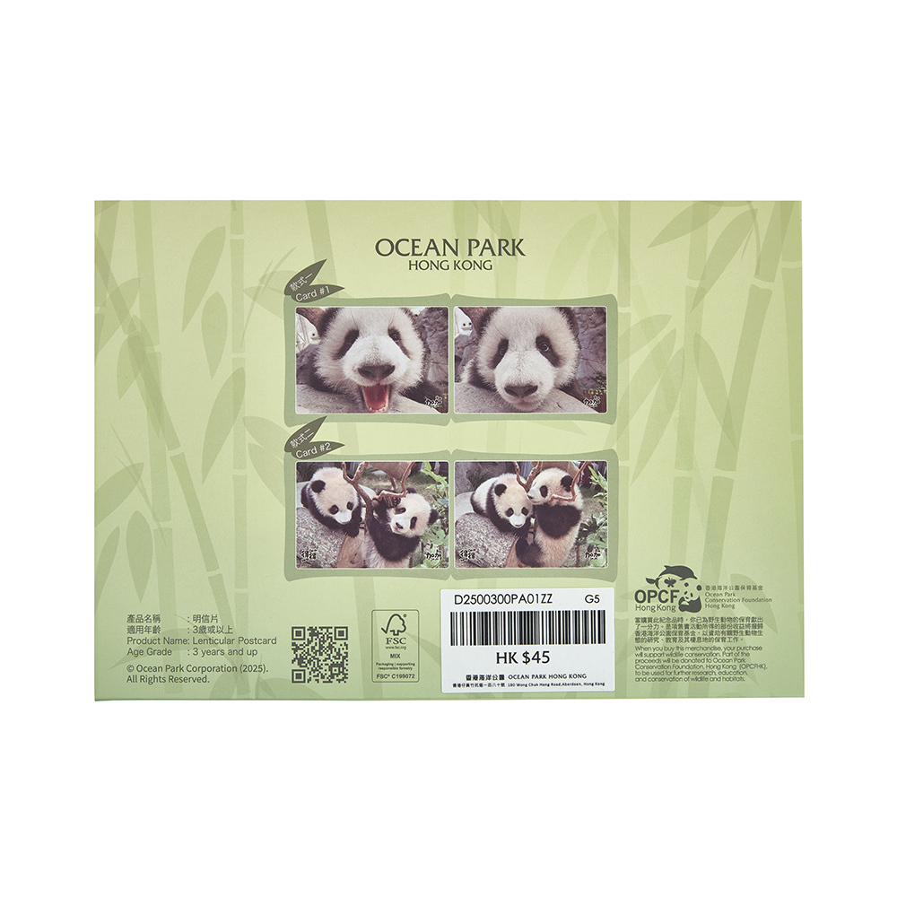 Lenticular Postcard 2pcs Set - Elder Sister “Jia Jia” & Little Brother “De De”