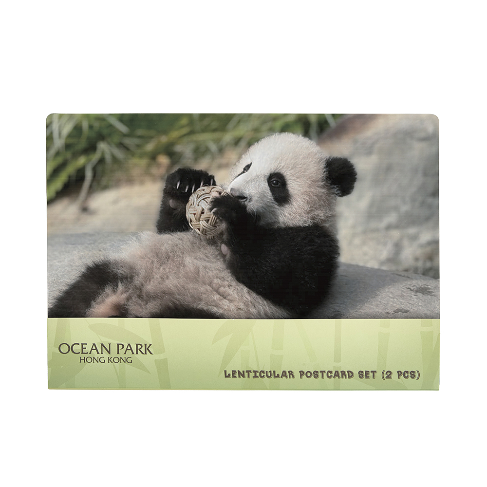 Lenticular Postcard 2pcs Set - Ying Ying & Little Brother “De De”