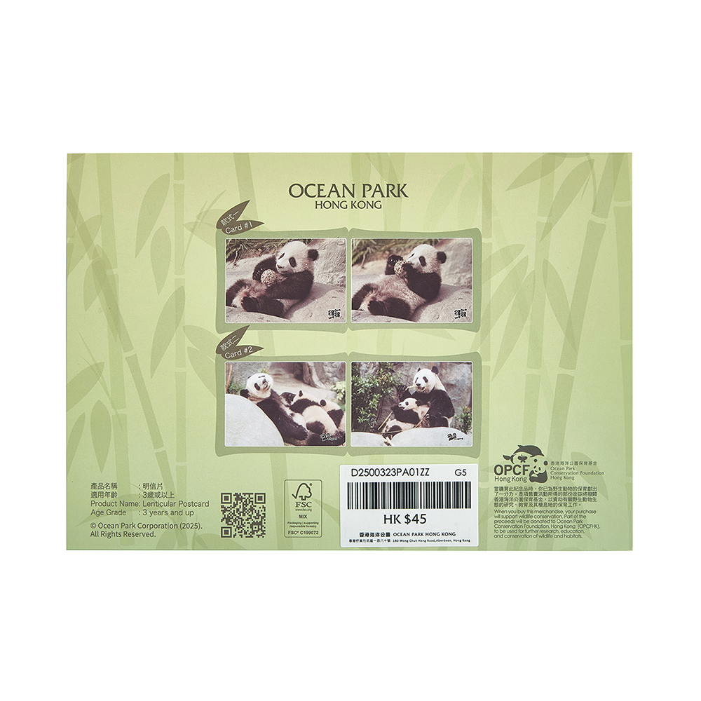 Lenticular Postcard 2pcs Set - Ying Ying & Little Brother “De De”