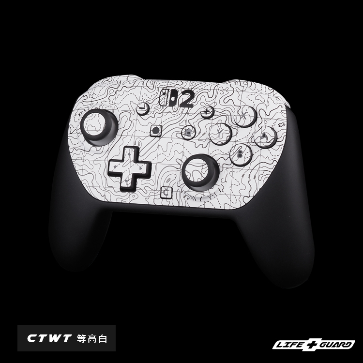 Nintendo Switch 2 Pro controller skin