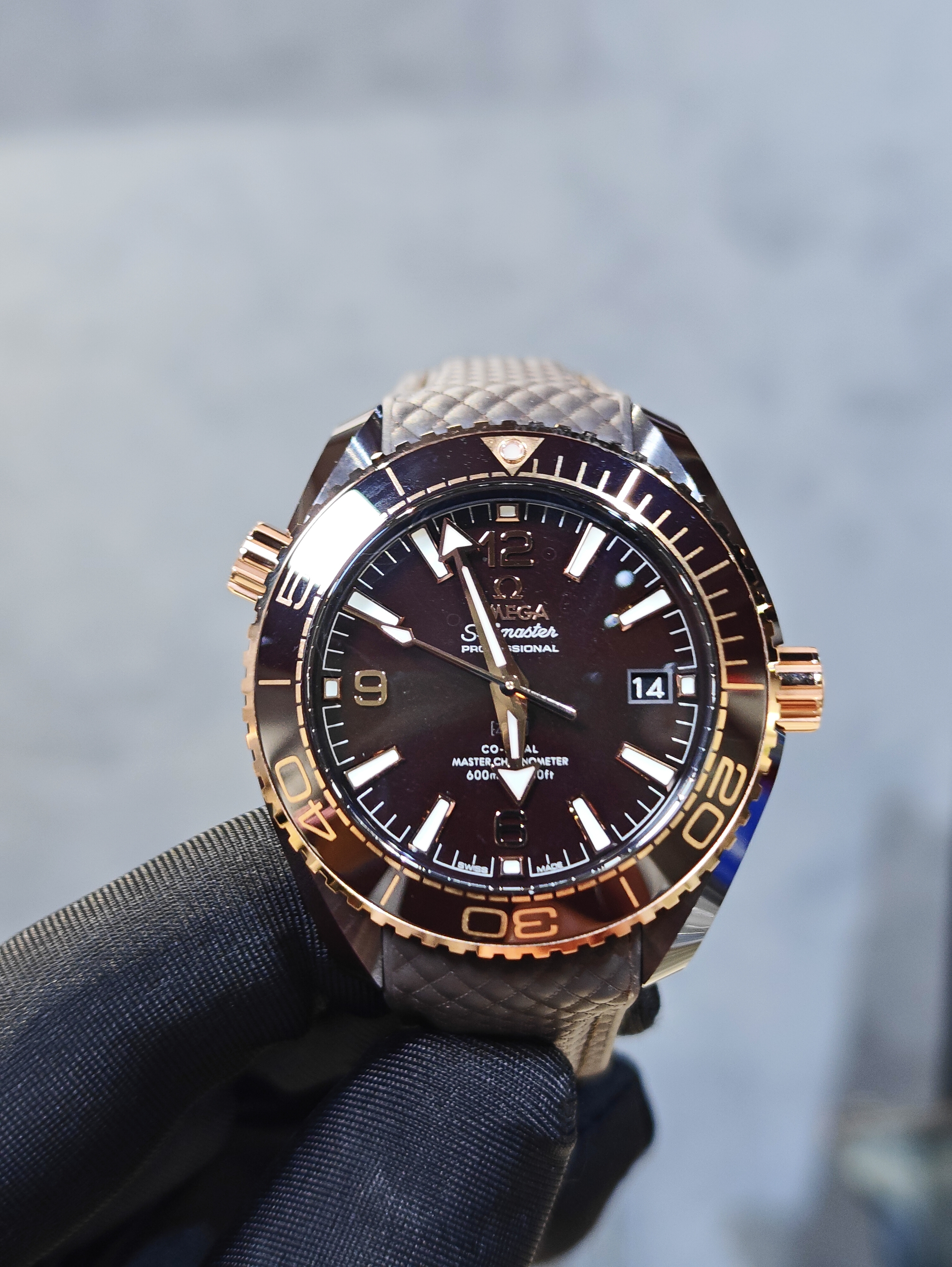 DISCONTINUED BRAND NEW OMEGA SEAMASTER PLANET OCEAN 600M 215.62.40.20.13.001 21562402013001 BROWN CERAMIC ON RUBBER STRAP 39.5 mm