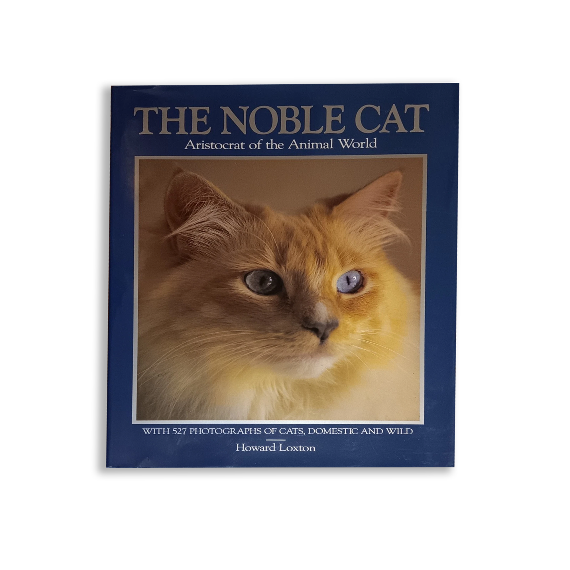 The Noble Cat Aristocrat Of Animal World