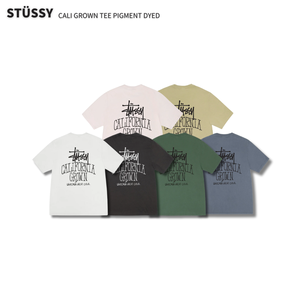 "現貨" Stussy 25FW CALI GROWN TEE PIGMENT DYED 文字 Logo T