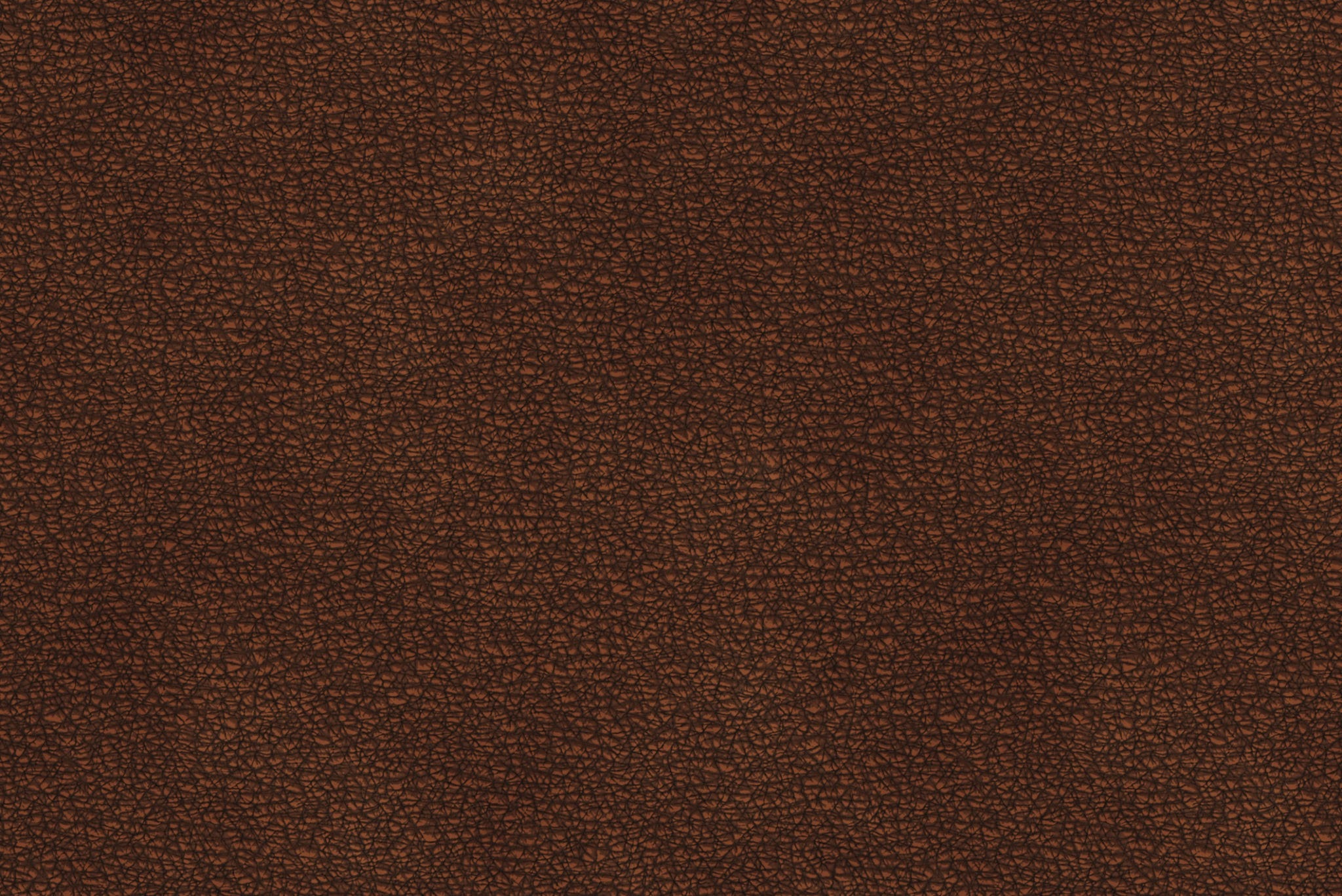 那我也重新建立一個贈品看看