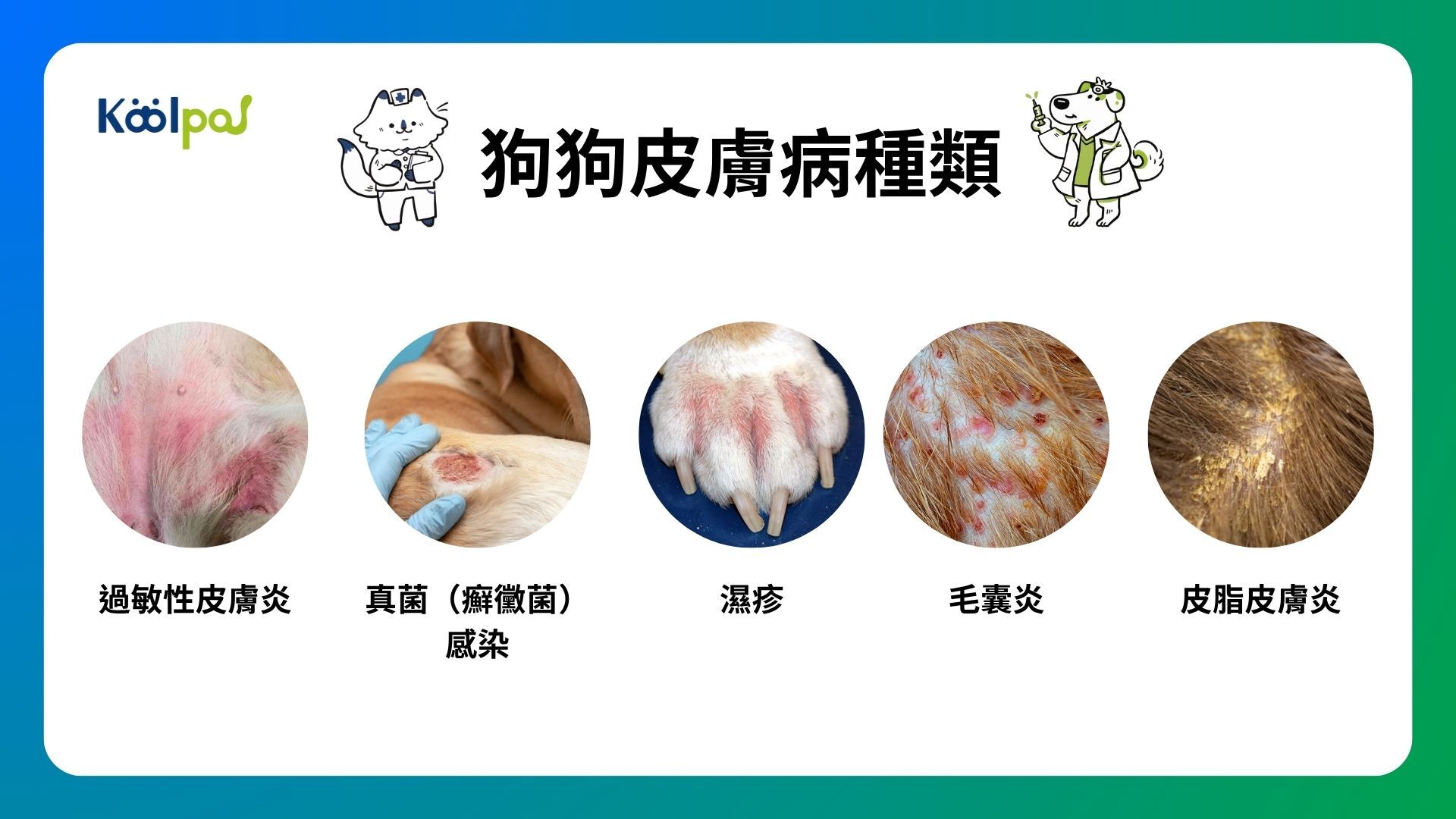 狗狗皮膚病種類有哪些？