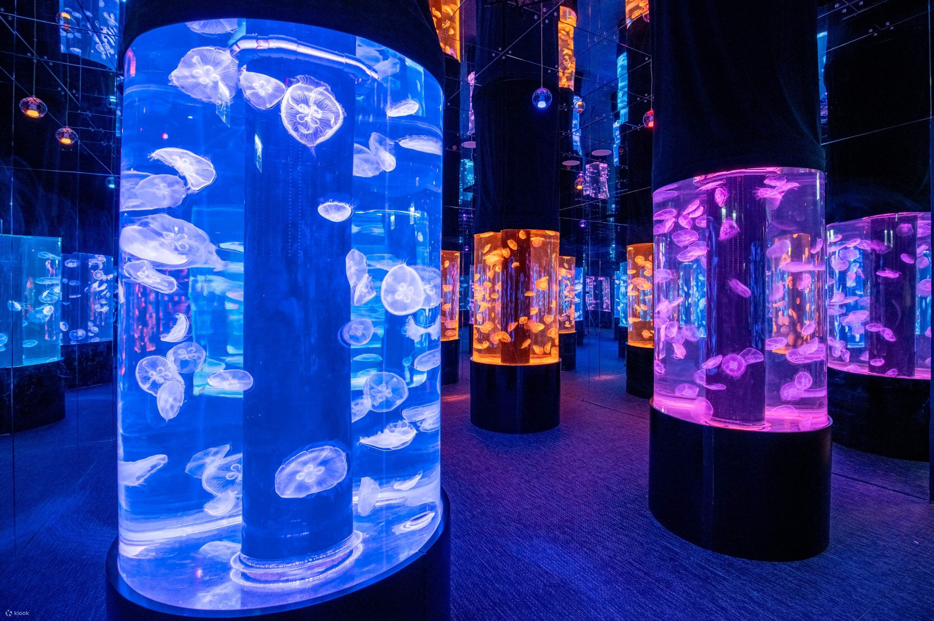 香港浩海立方探游館