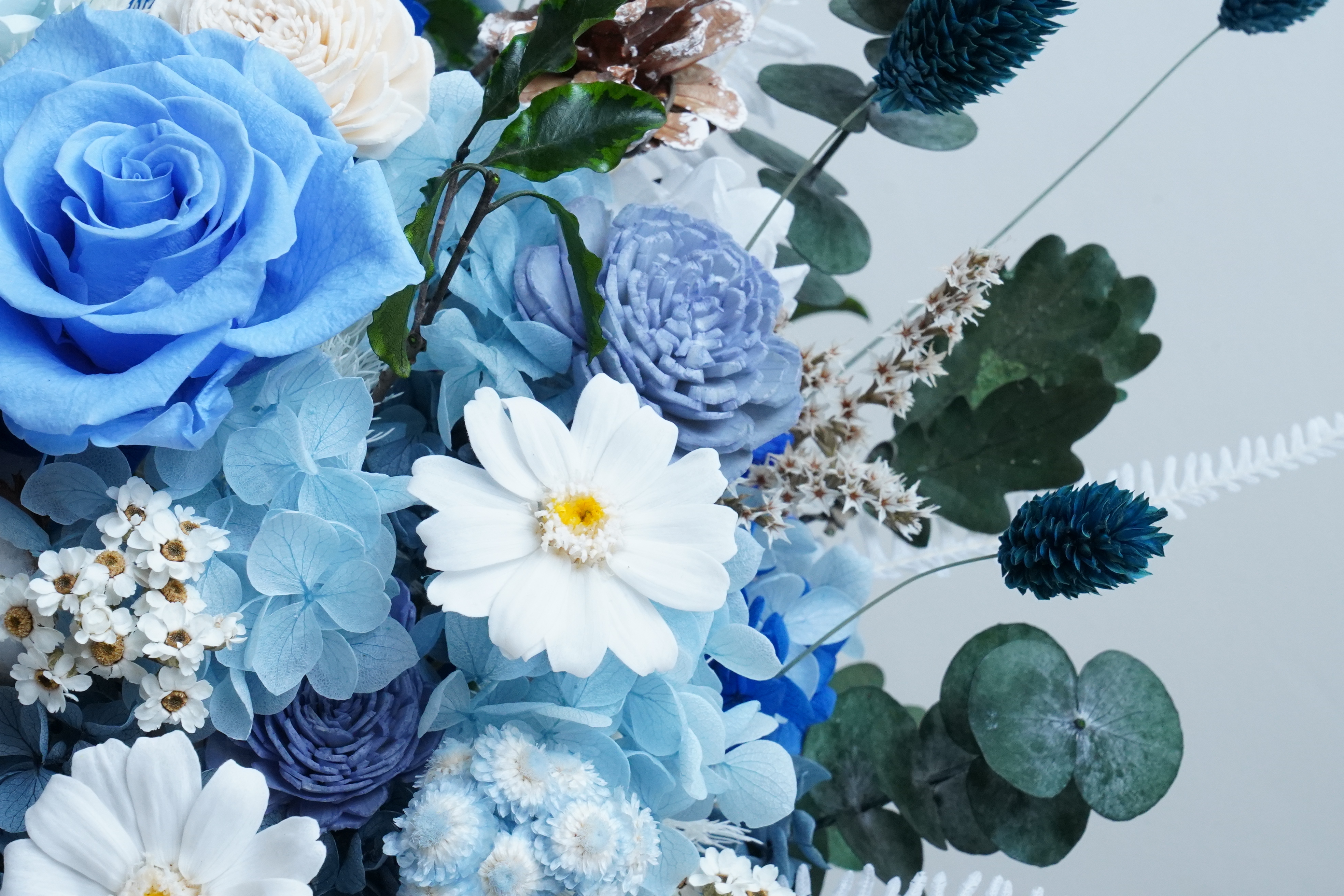 永生花盆栽｜塞纳河上的早晨 21