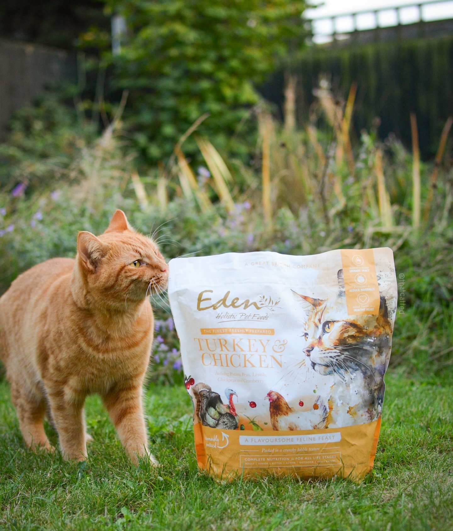 英國 Eden 鮮肉無穀 (火雞+雞肉) 全貓糧 1.5kg