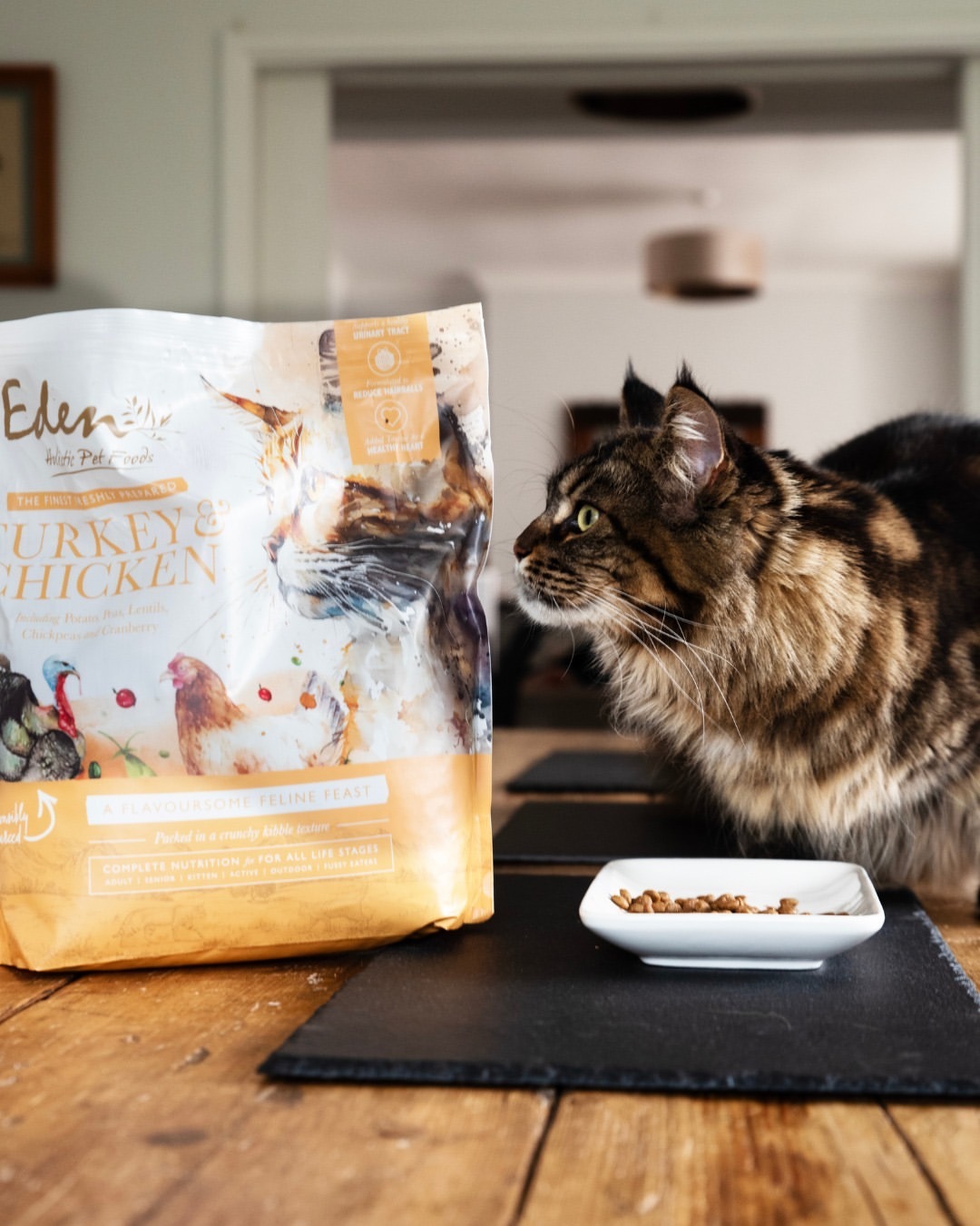 英國 Eden 鮮肉無穀 (火雞+雞肉) 全貓糧 1.5kg